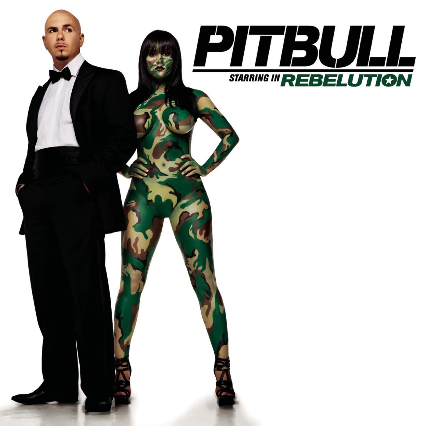 Pitbull - Shut It Down