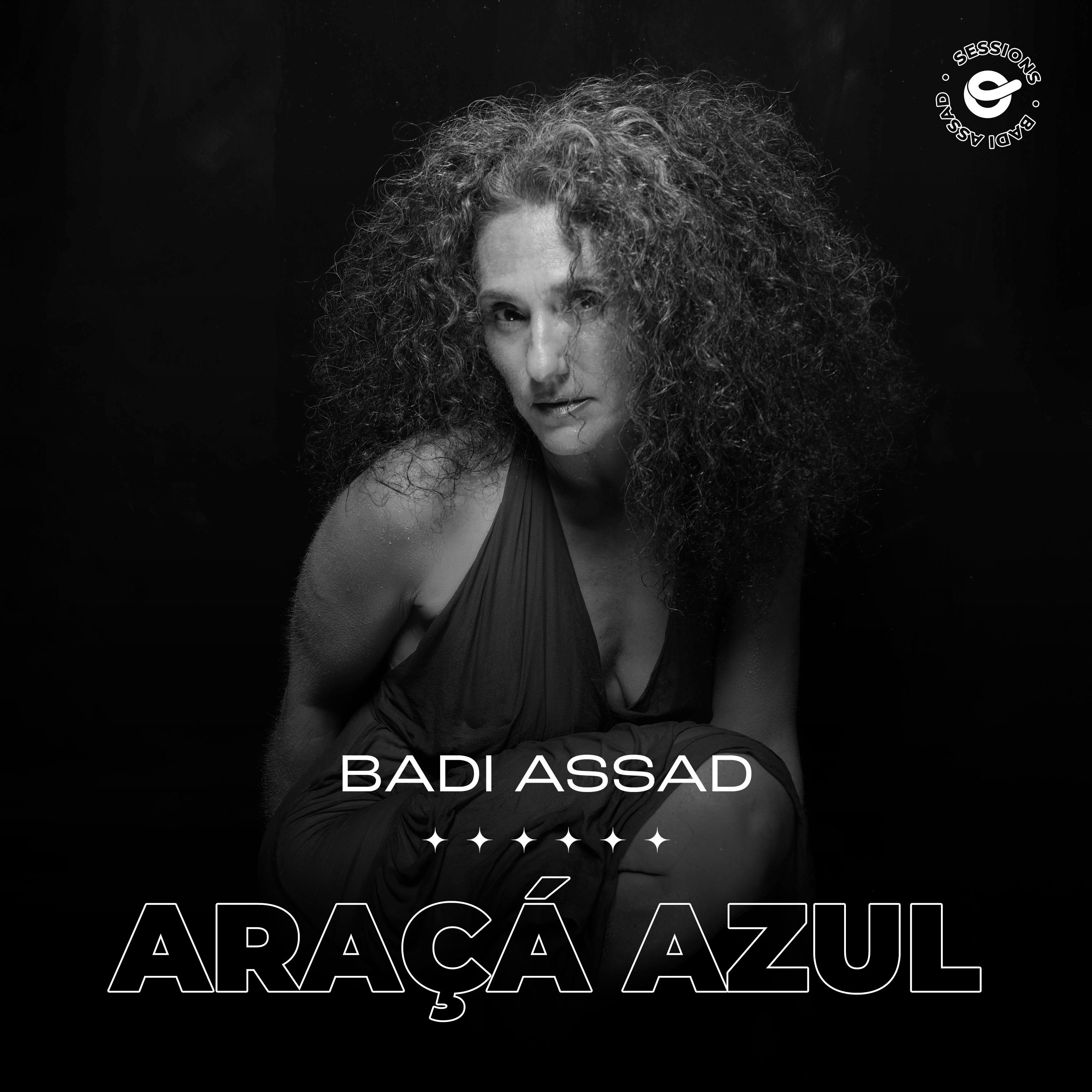 Постер альбома Araçá Azul
