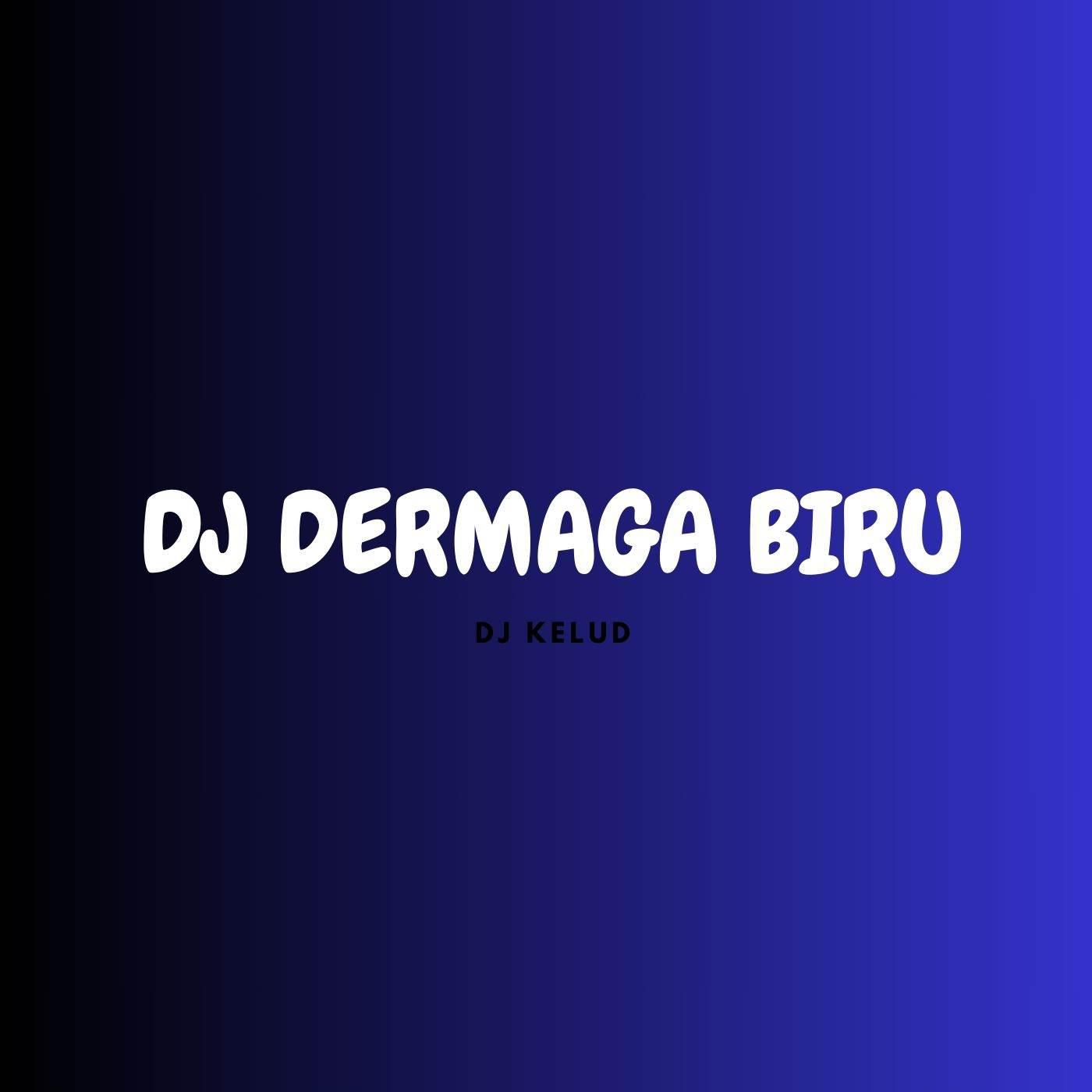 Постер альбома DJ DERMAGA BIRU