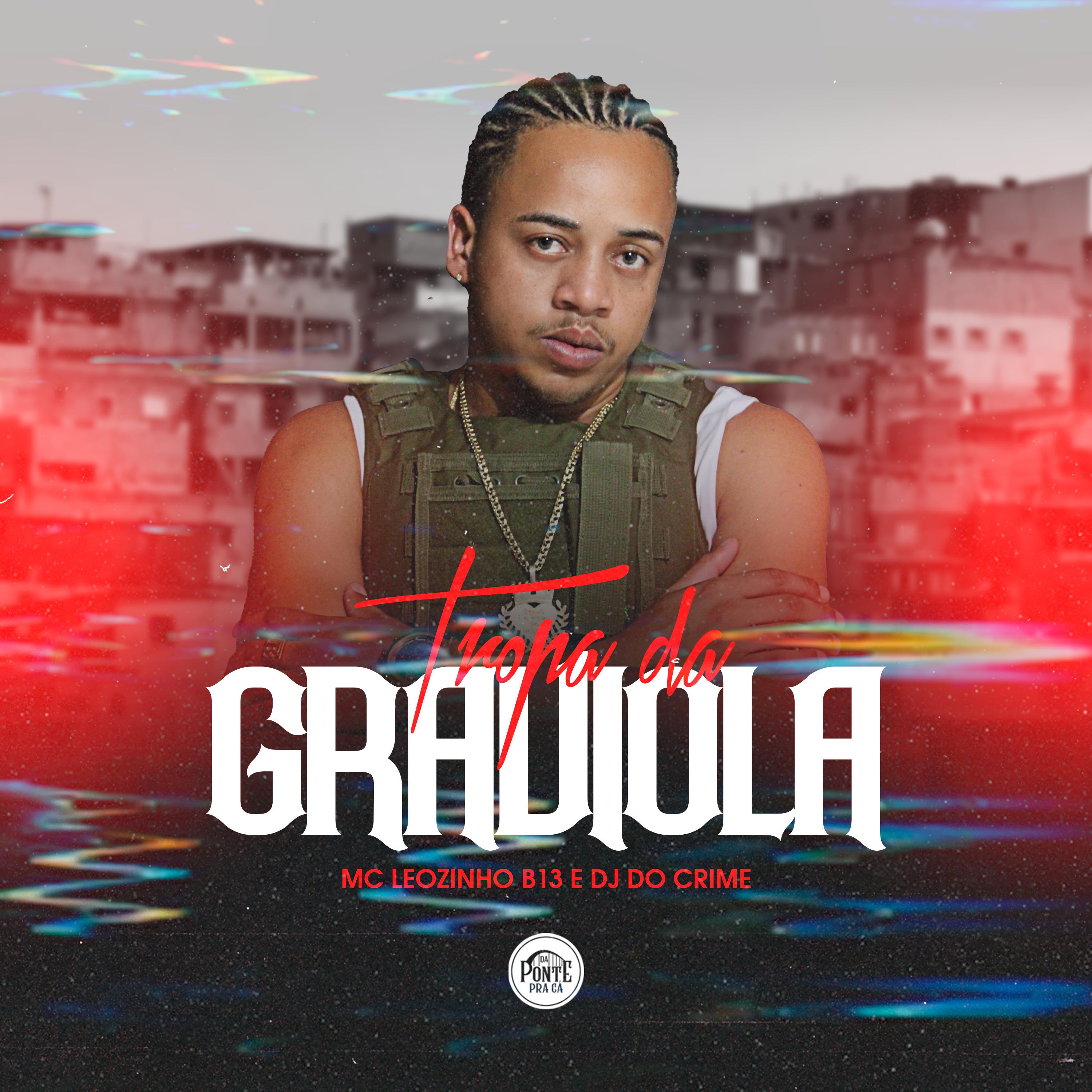 Постер альбома Tropa da Graviola