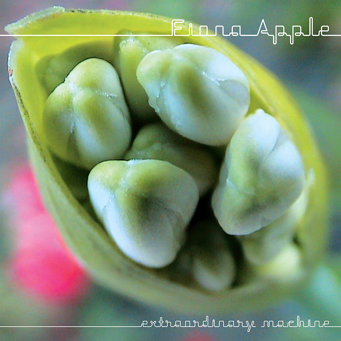 Fiona Apple - O' Sailor
