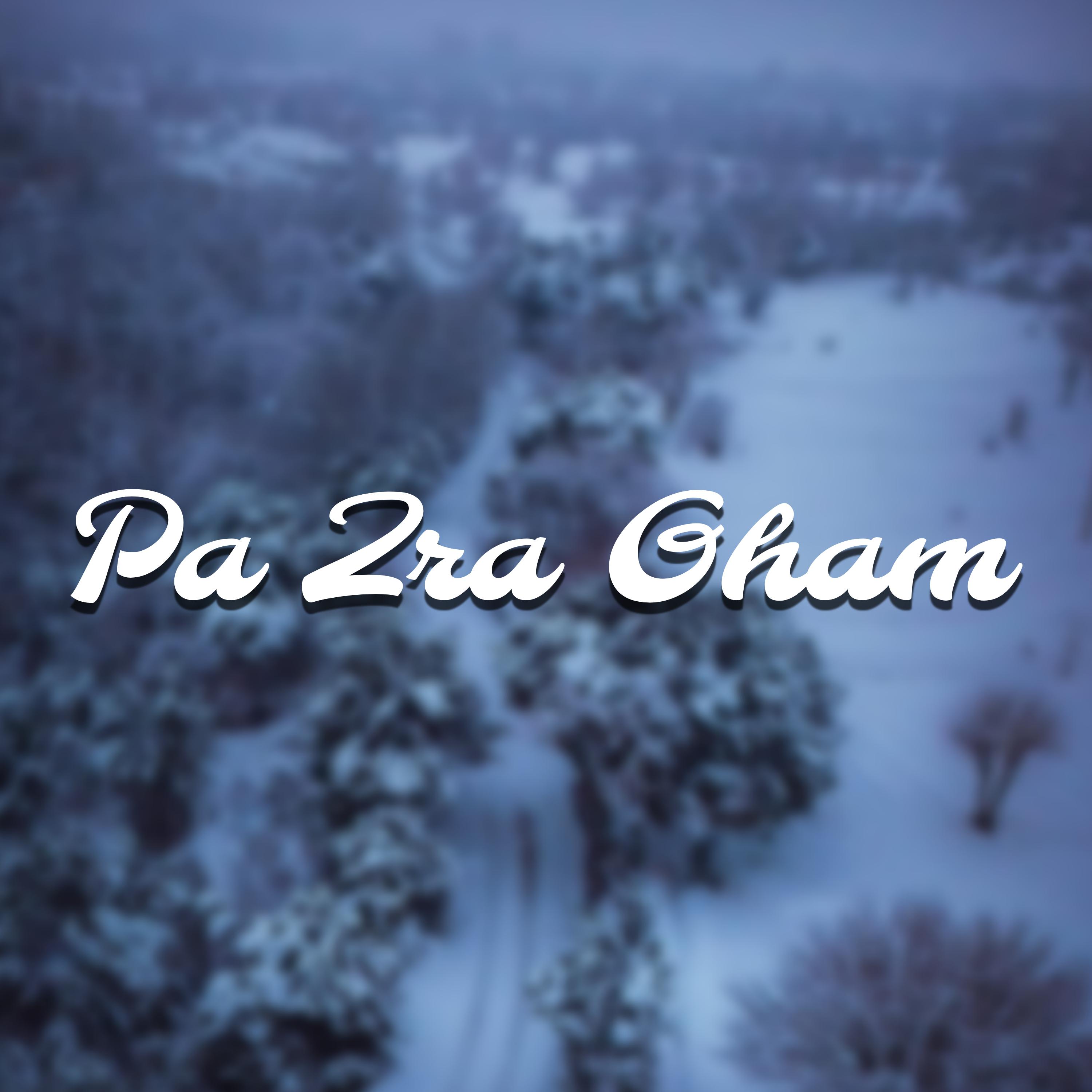 Постер альбома Pa Zra Gham