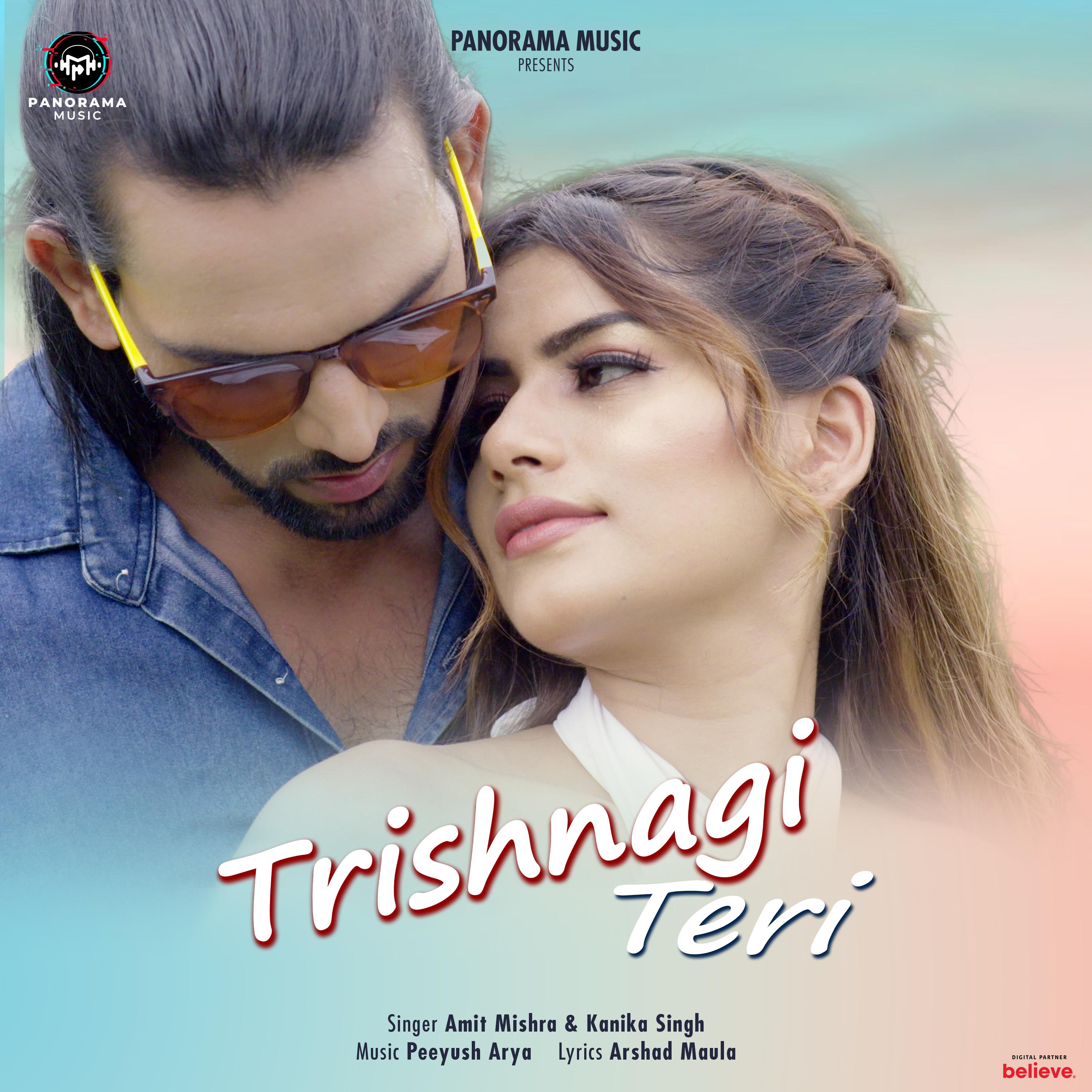 Постер альбома Tishnagi Teri