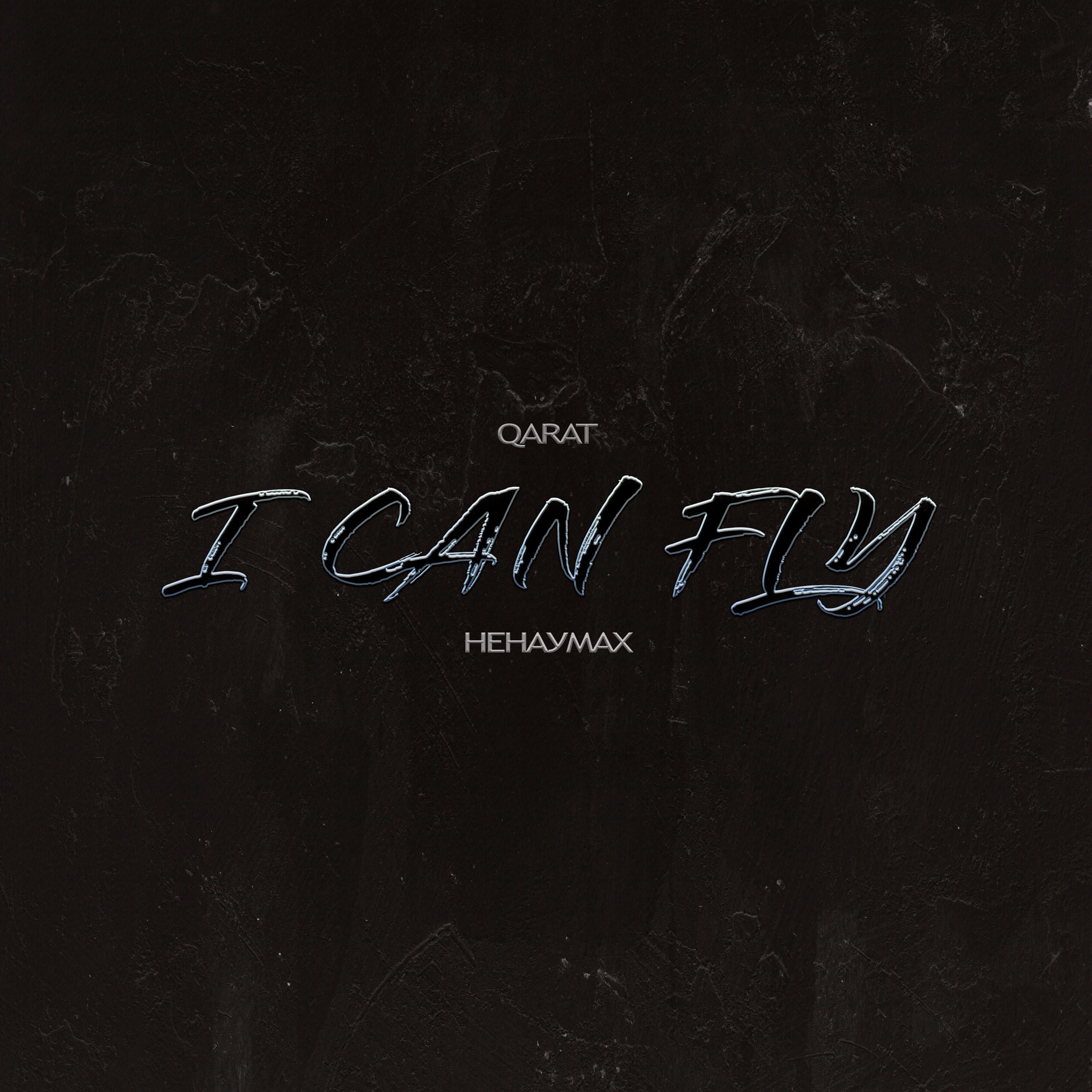 Постер альбома I Can Fly