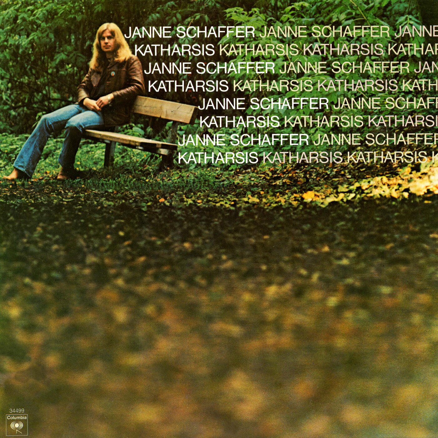 Janne Schaffer - Ramsa