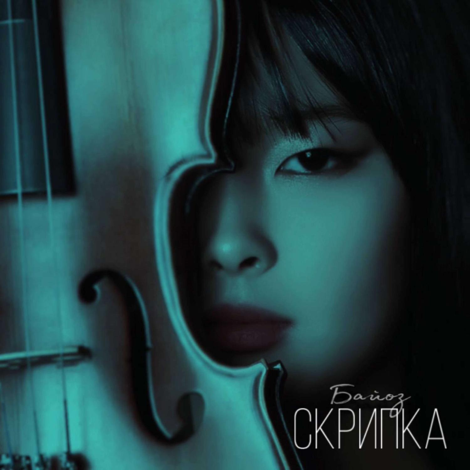 Постер альбома Скрипка