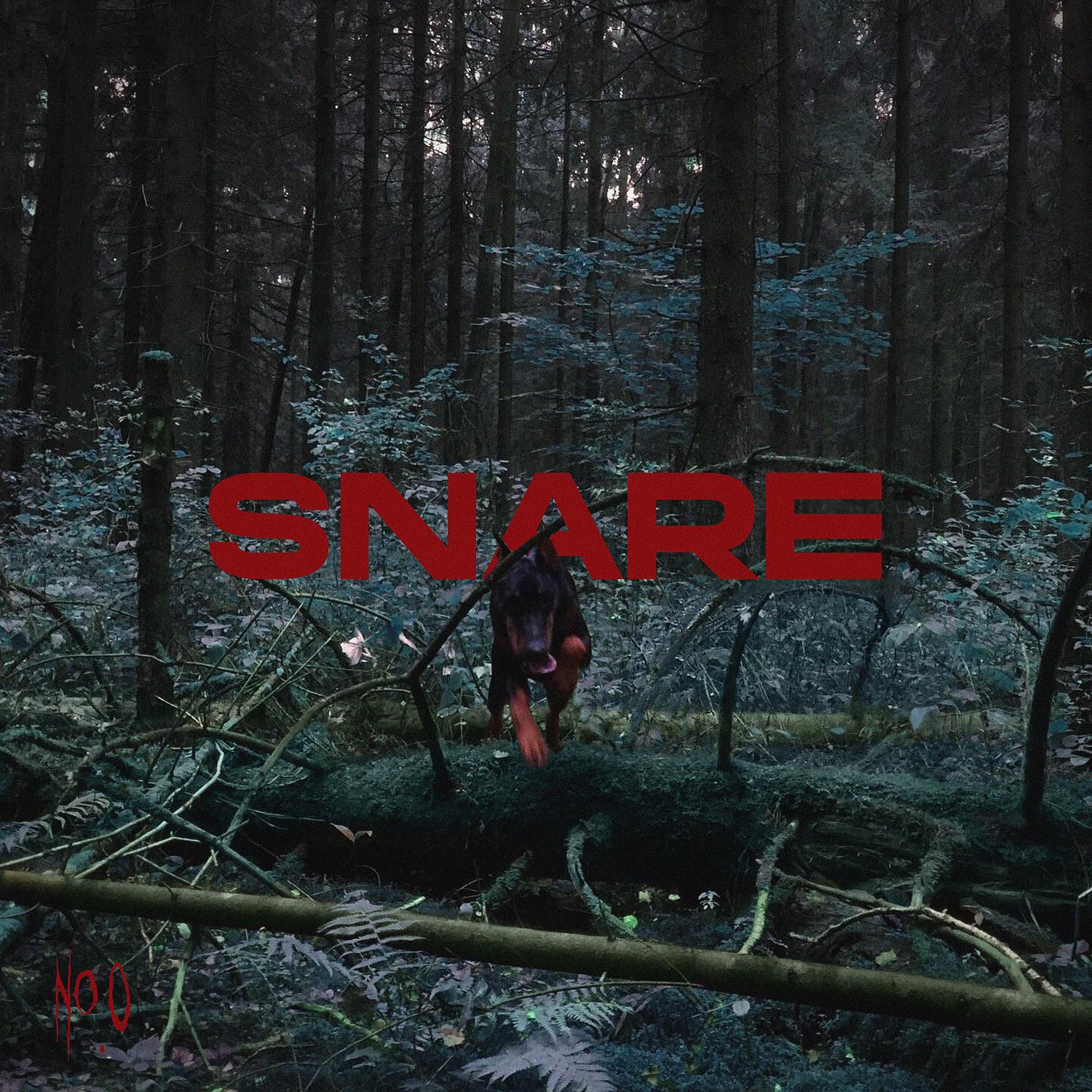 Постер альбома Snare