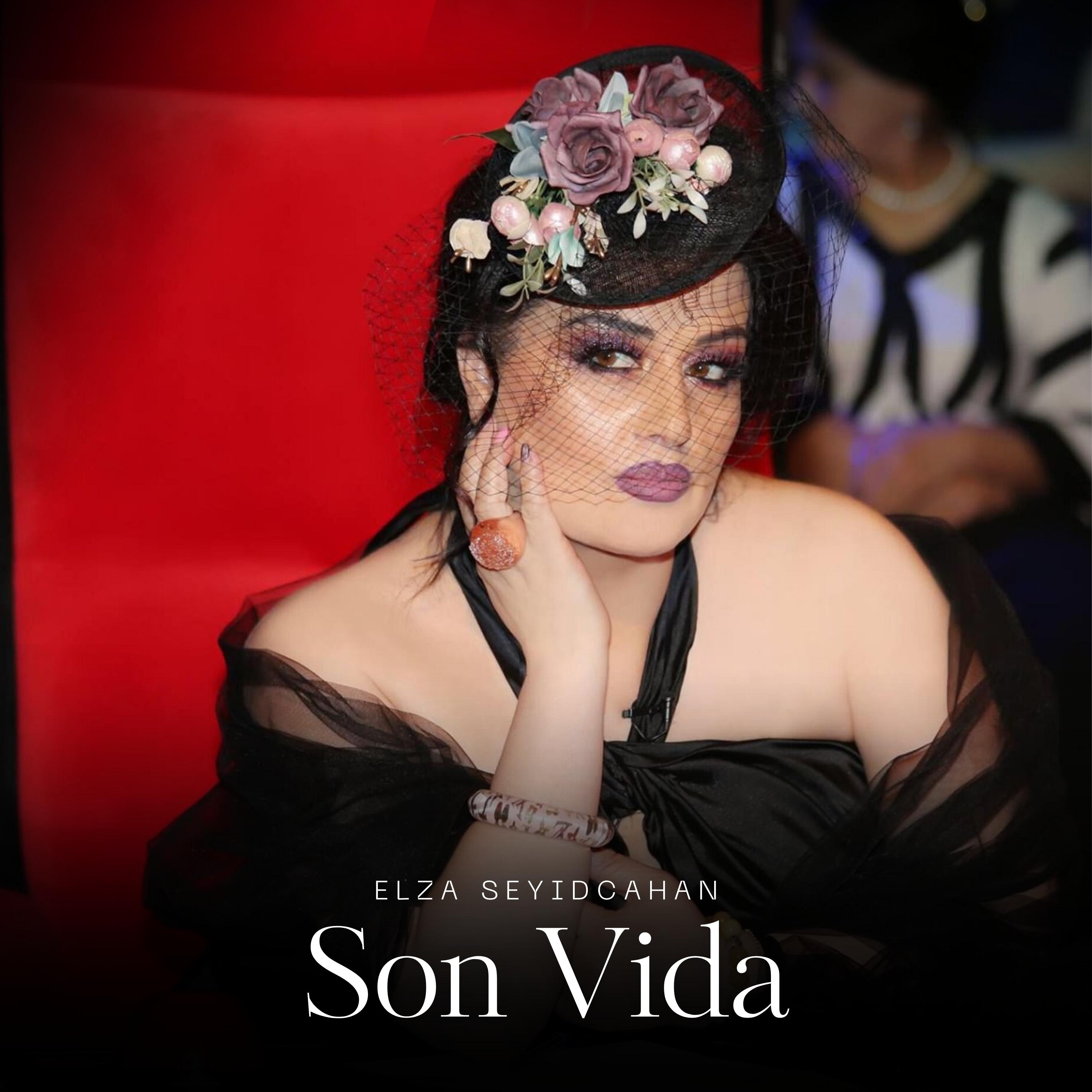 Постер альбома Son Vida