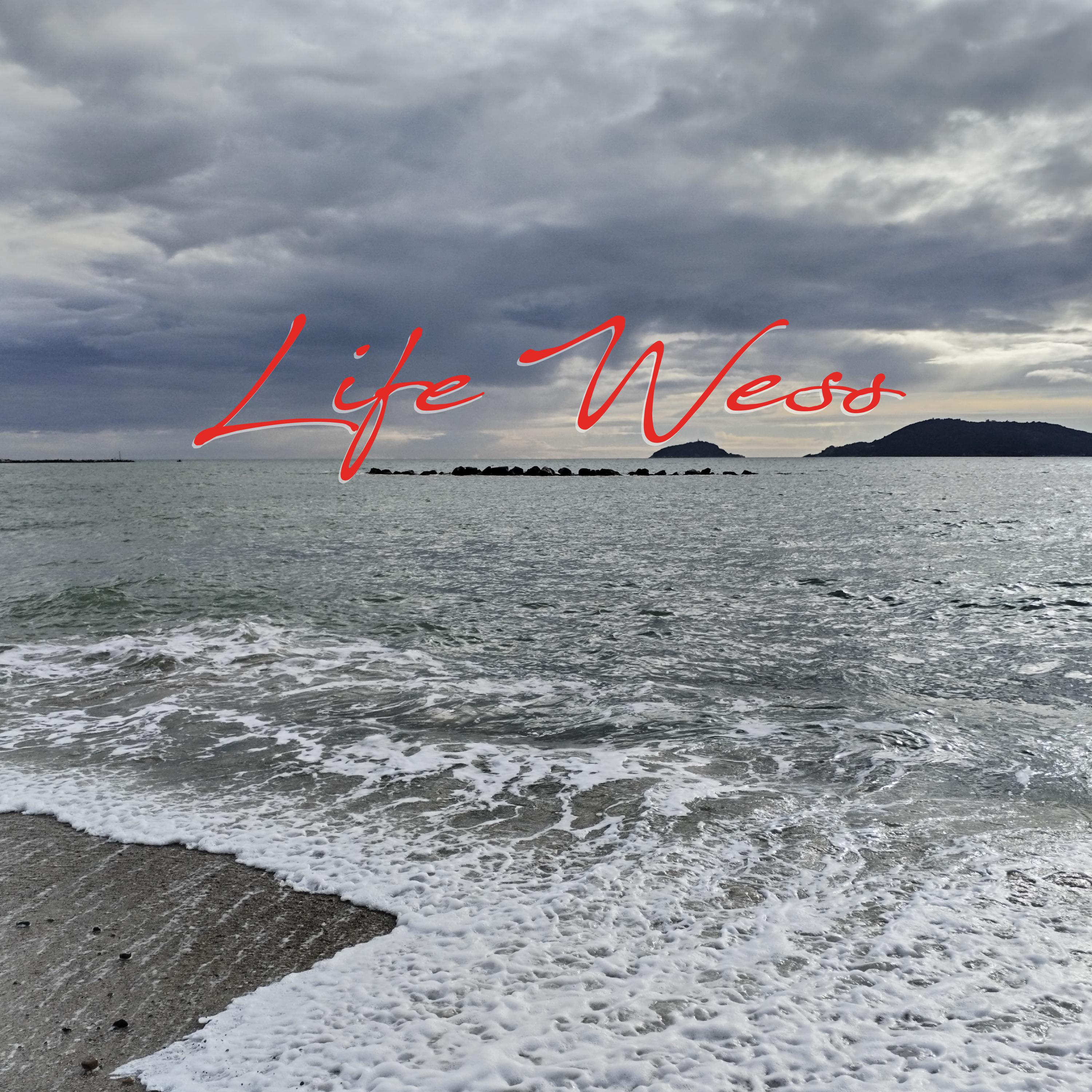 Постер альбома Life wess