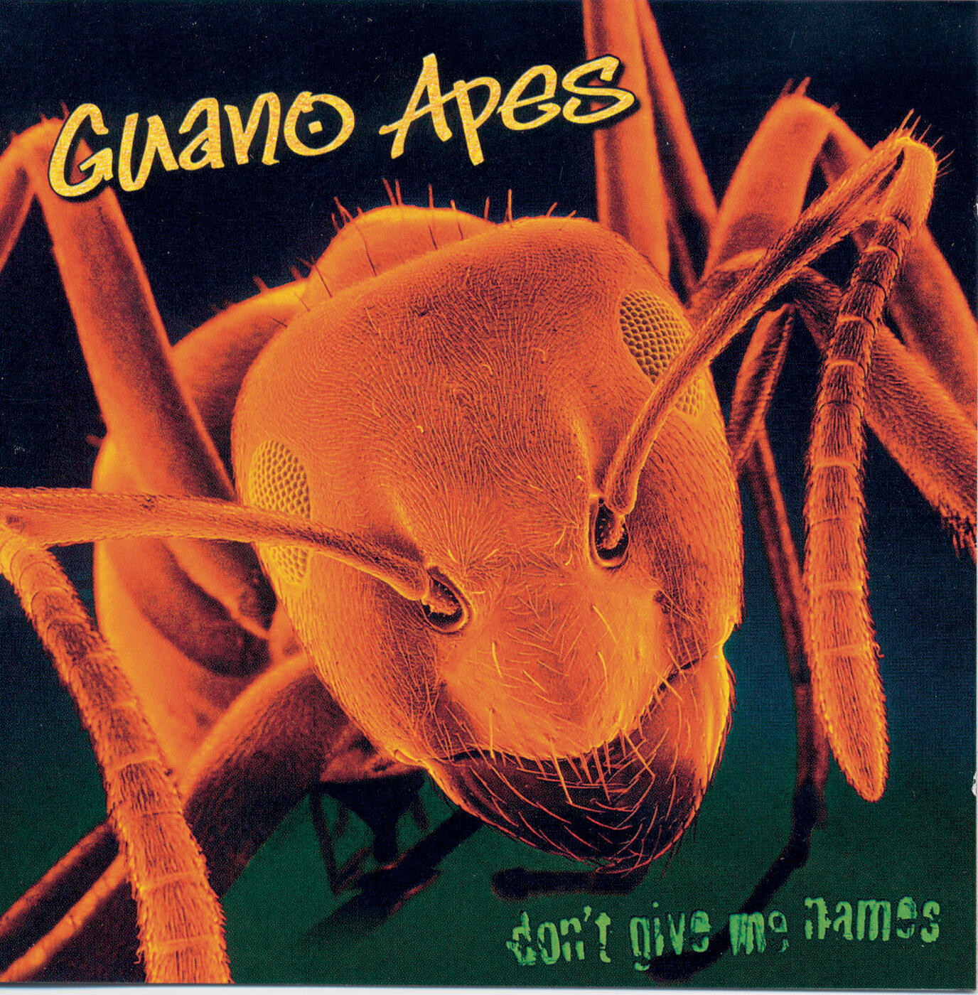 Guano Apes - Living in a Lie