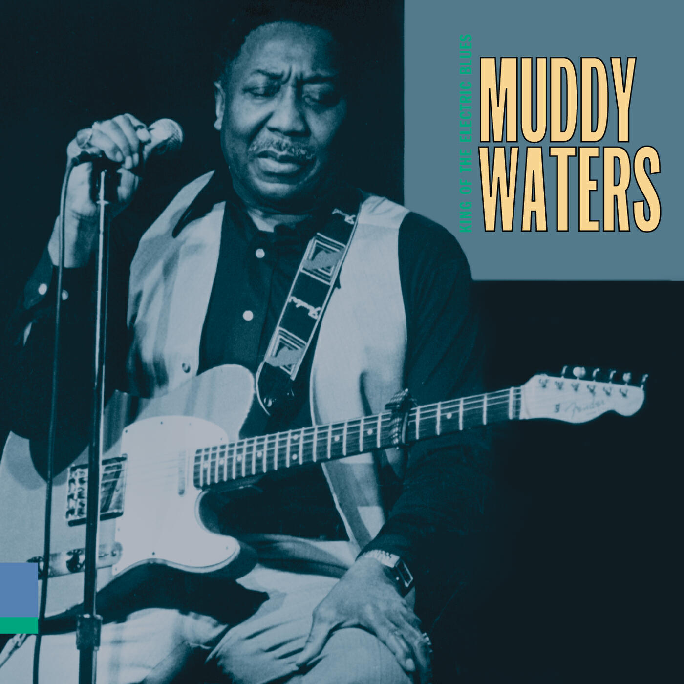 Muddy Waters - The Blues Had a Baby and They Named It Rock and Roll