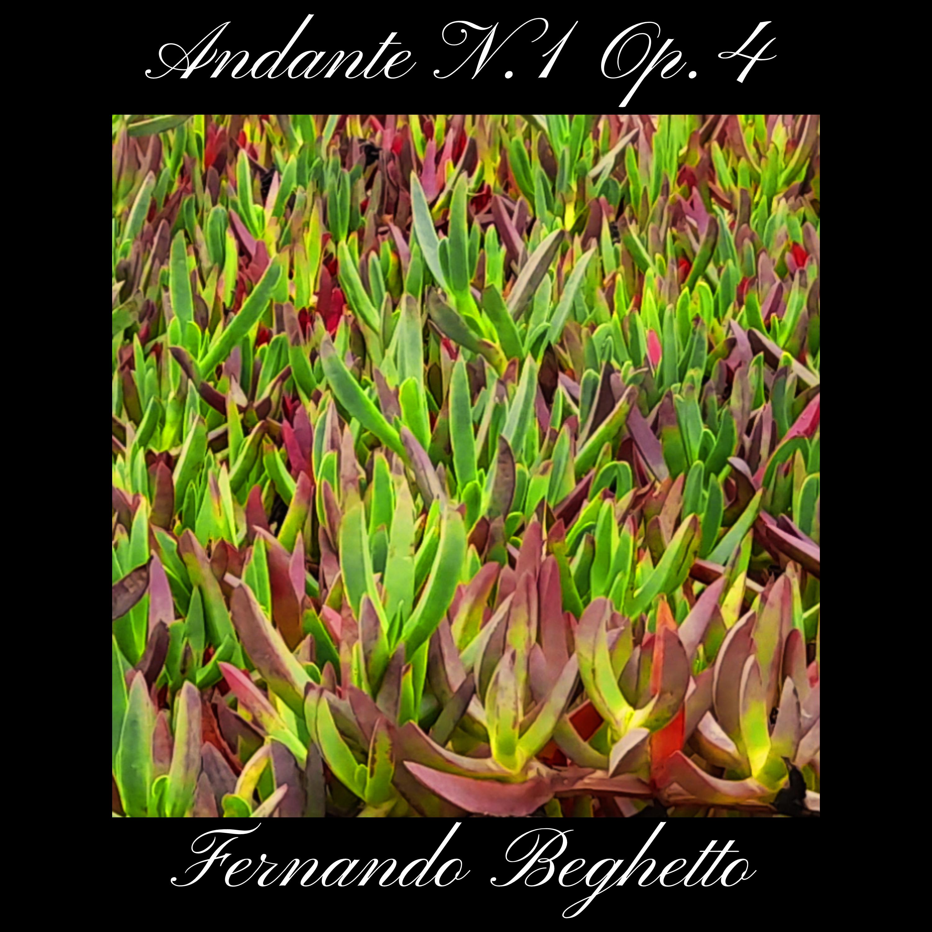 Постер альбома Andante N 1 Op 4