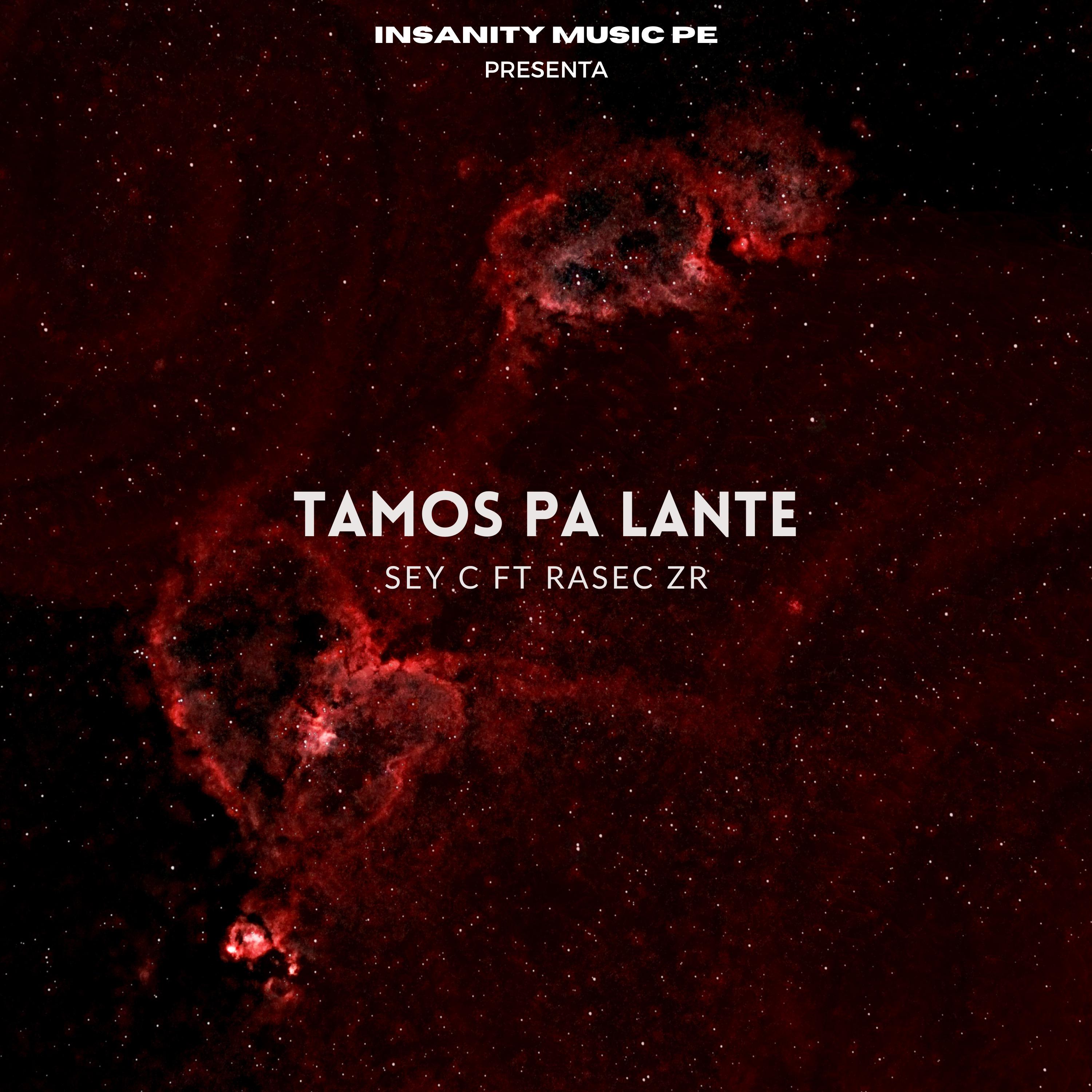 Постер альбома Tamos Pa Lante