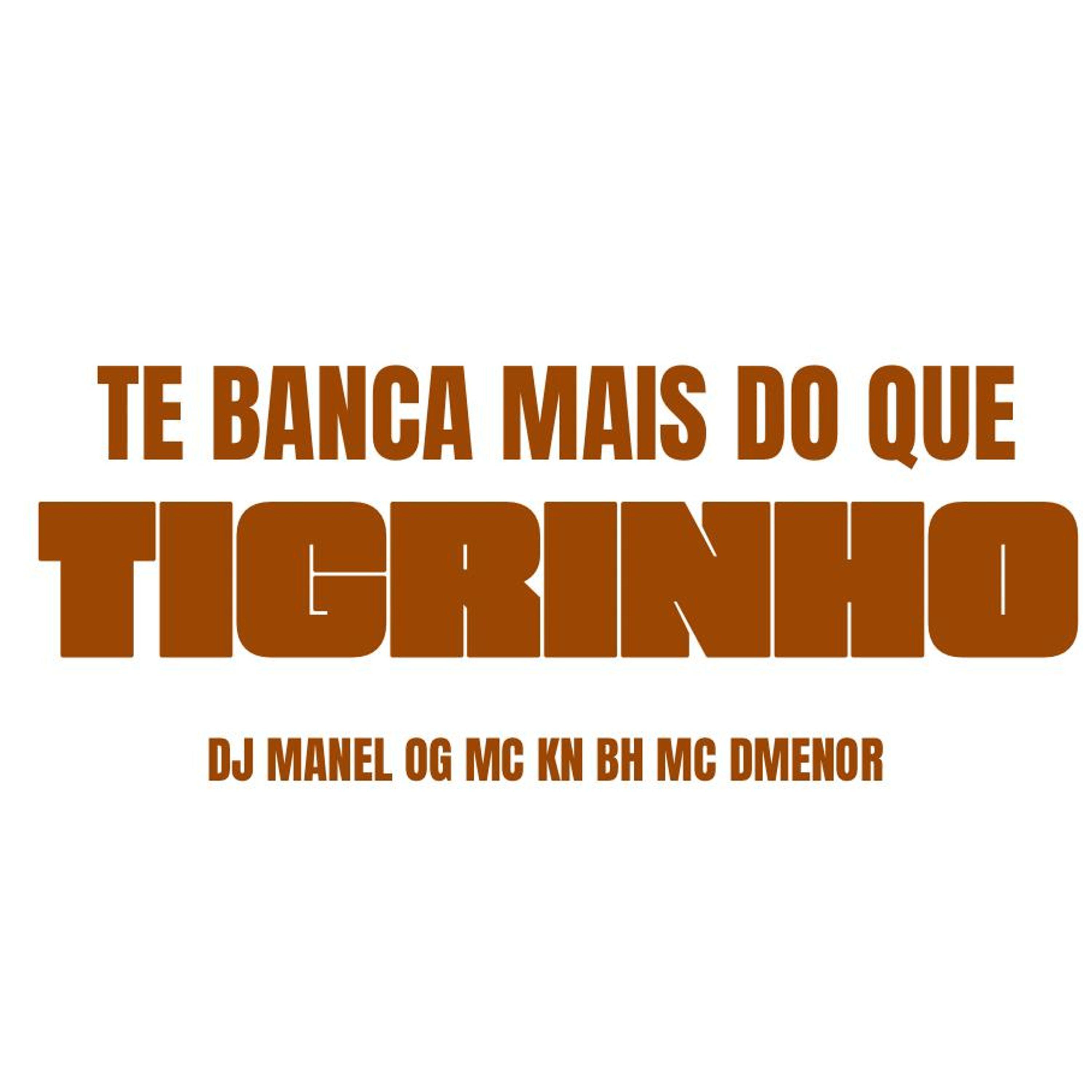 Постер альбома Te Banca Mais do Que Tigrinho