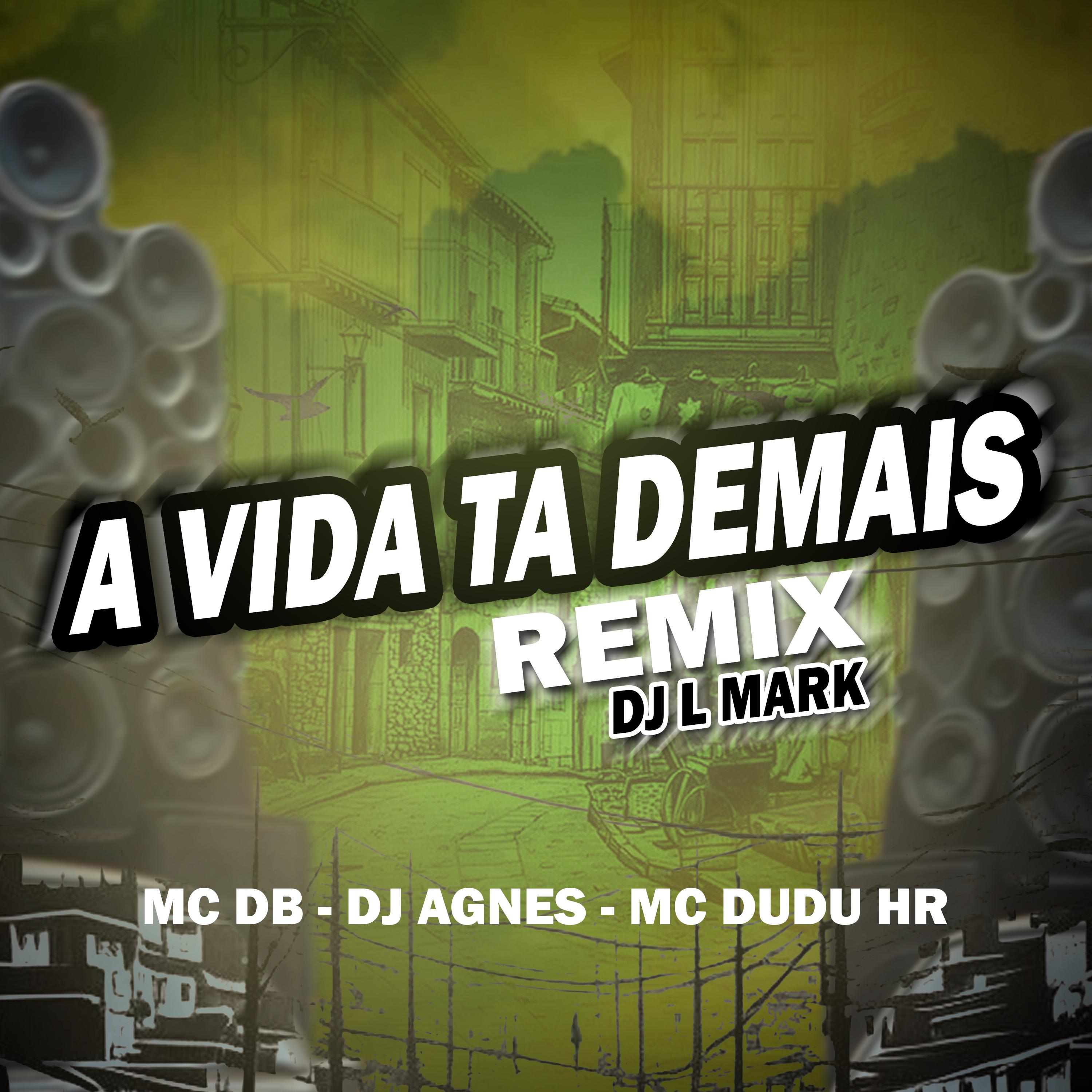 Постер альбома A Vida Ta Demais Remix