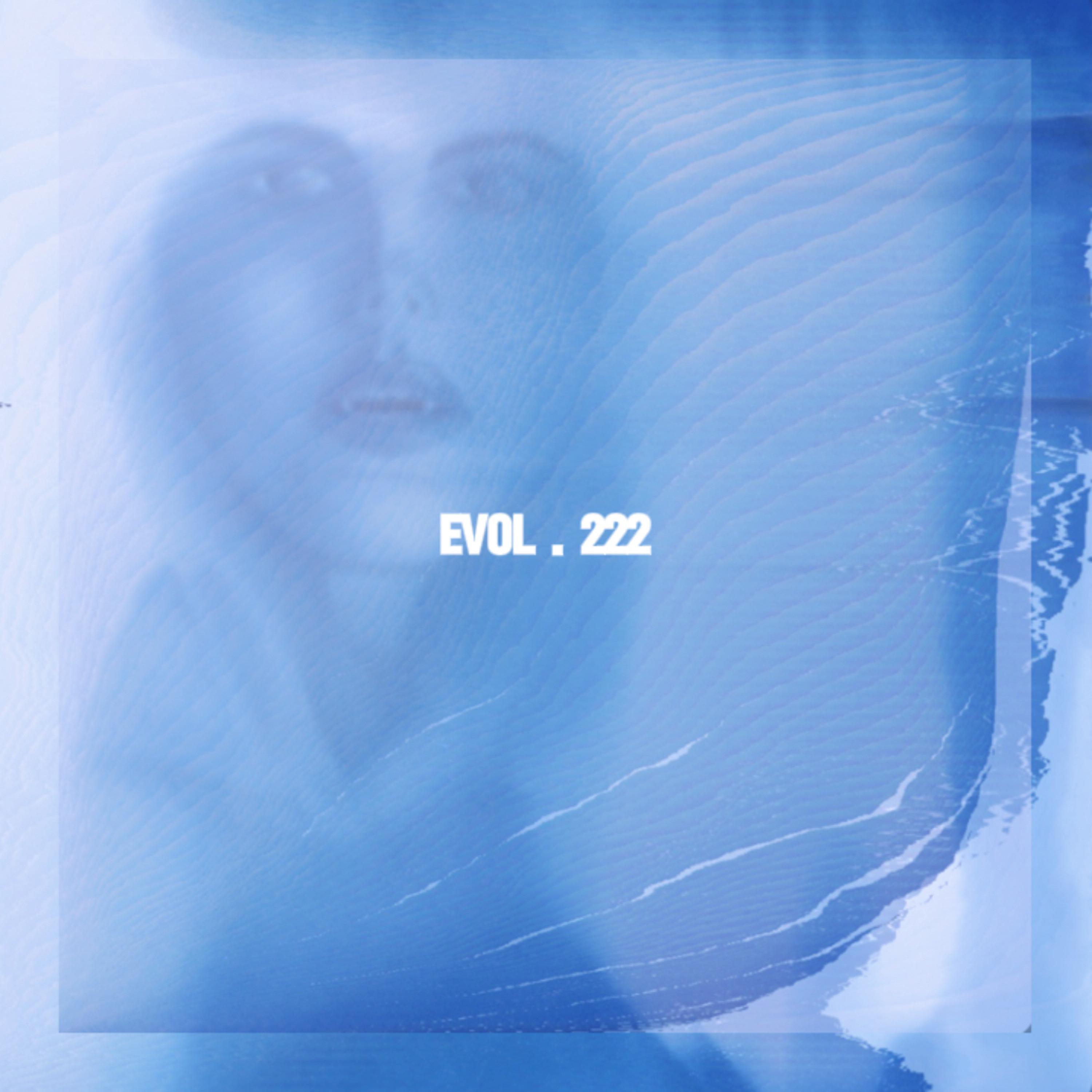 Постер альбома Evol . 222