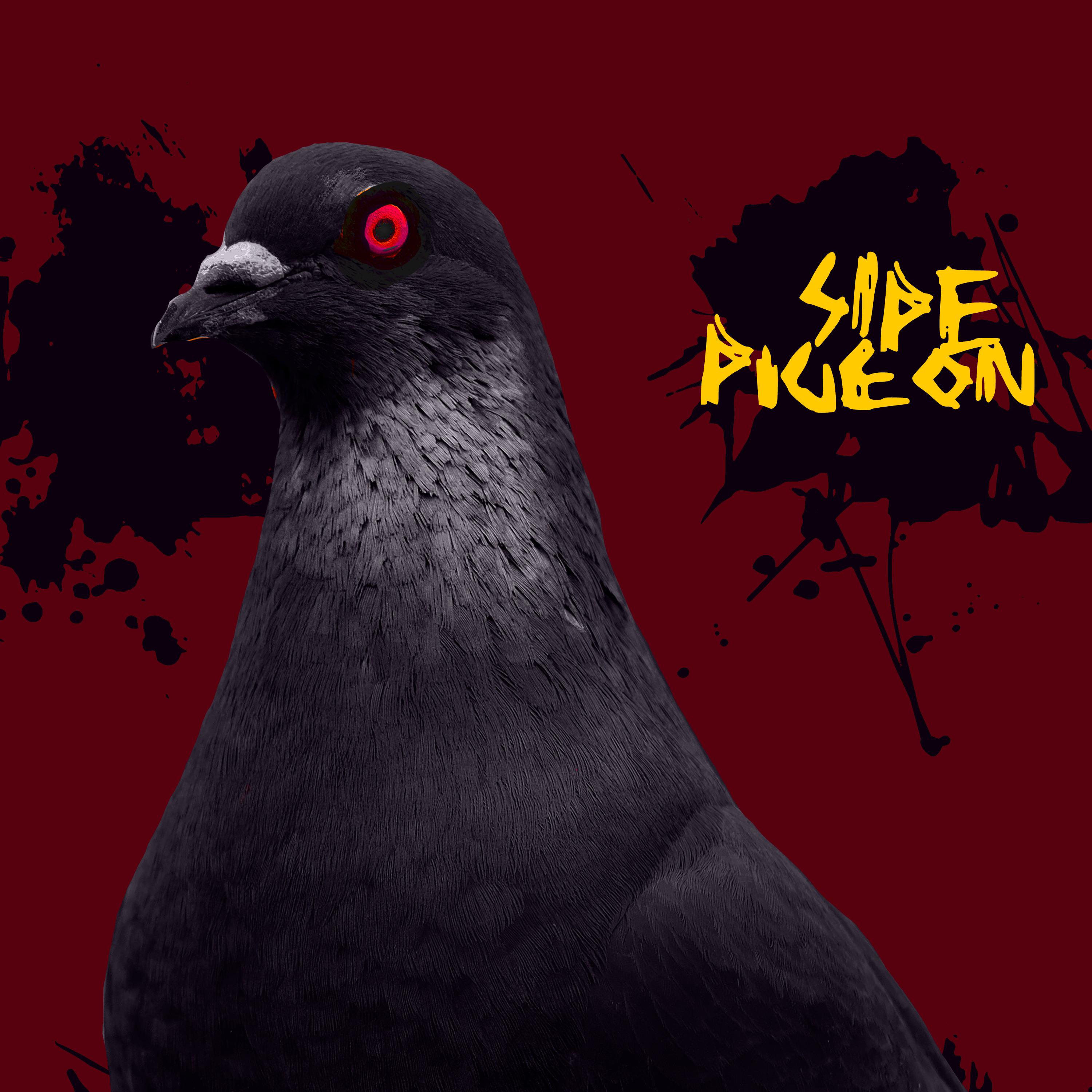 Постер альбома Pigeon