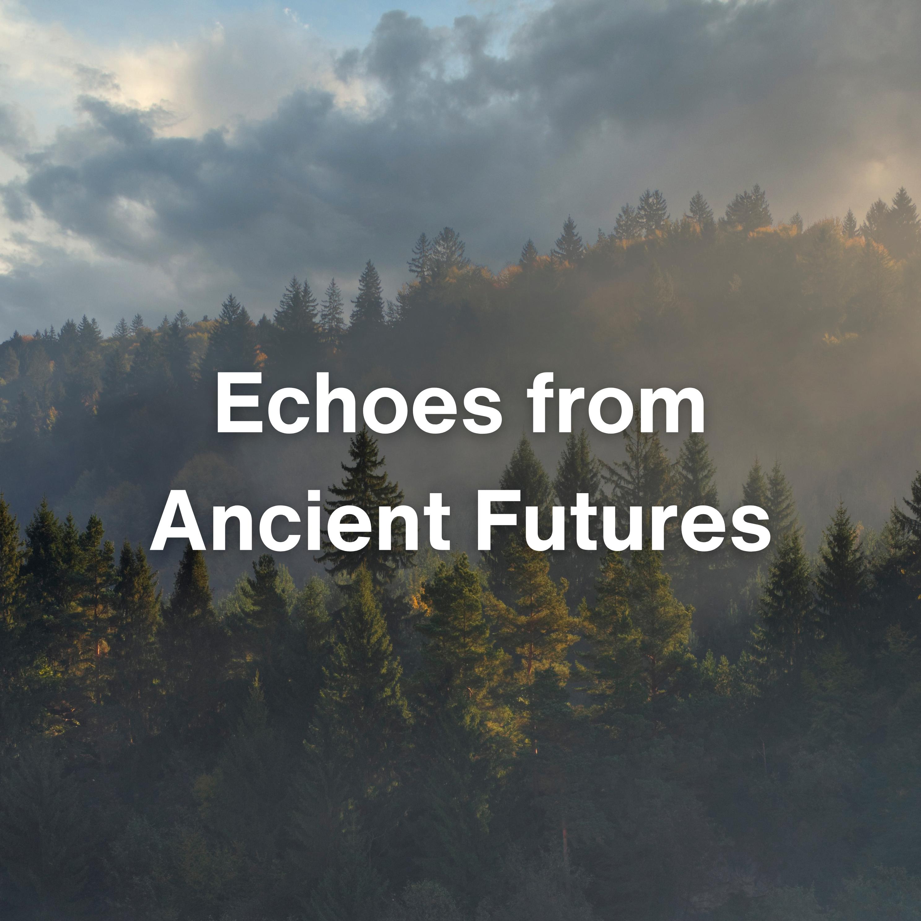 Постер альбома Echoes from Ancient Futures