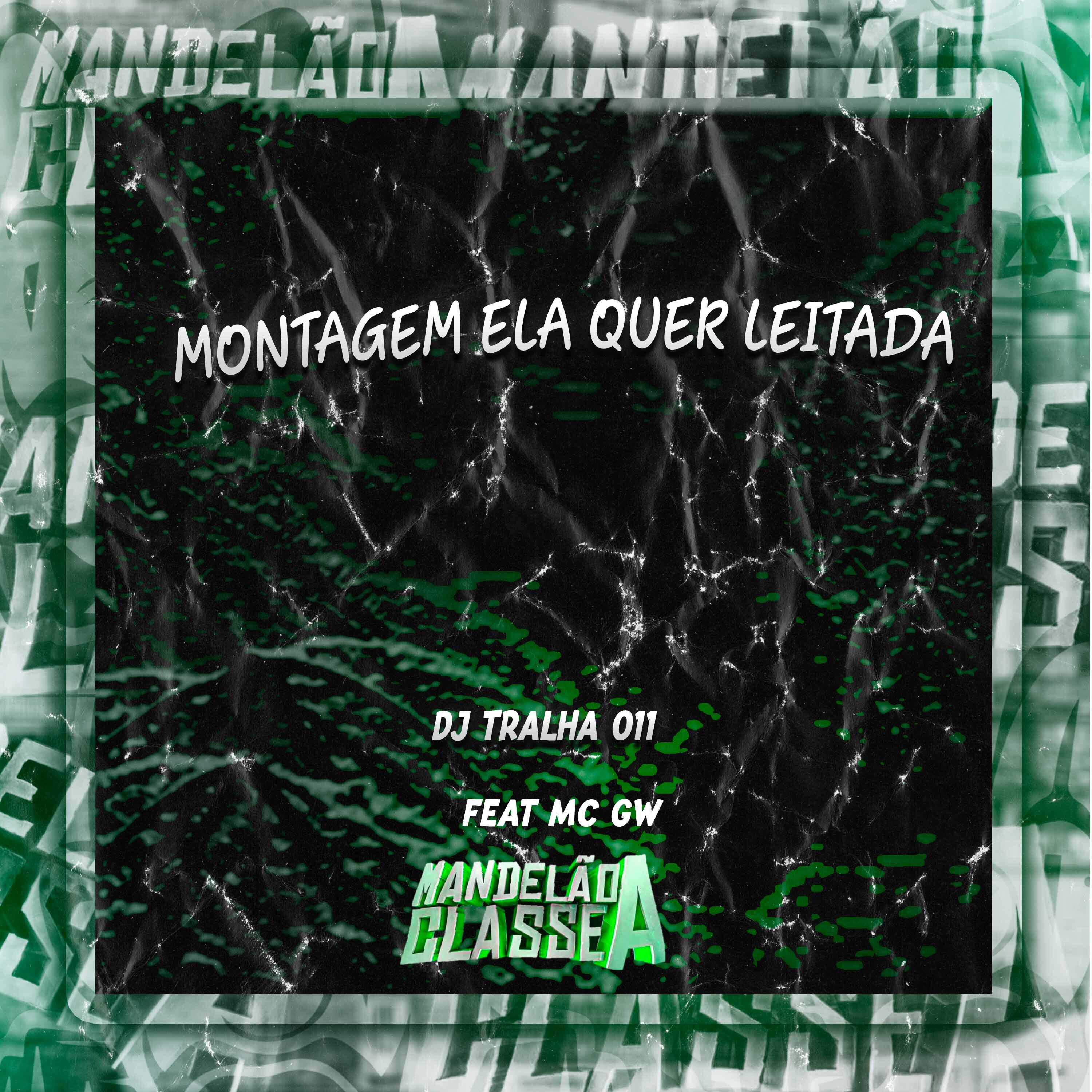 Постер альбома Montagem Ela Quer Leitada