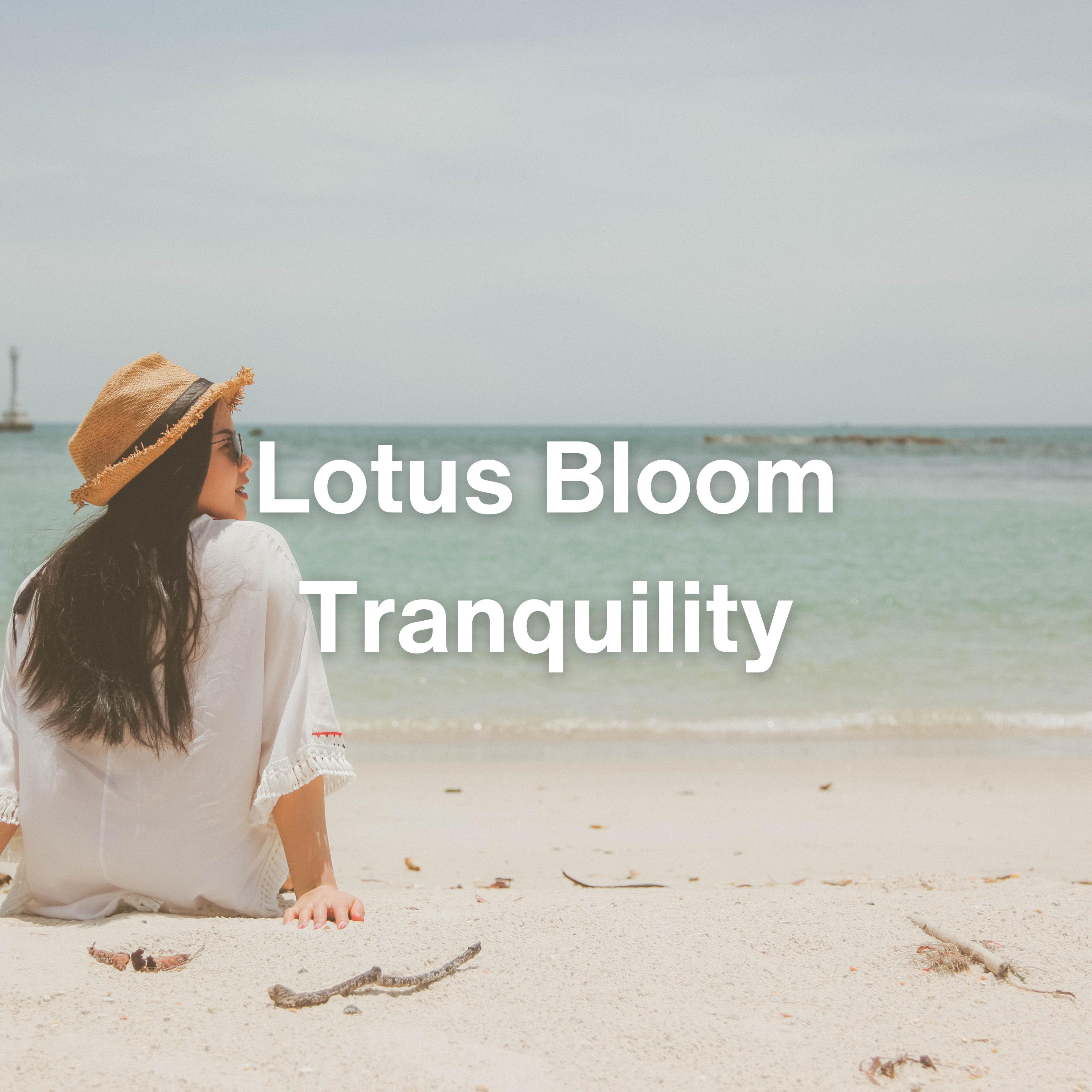 Постер альбома Lotus Bloom Tranquility