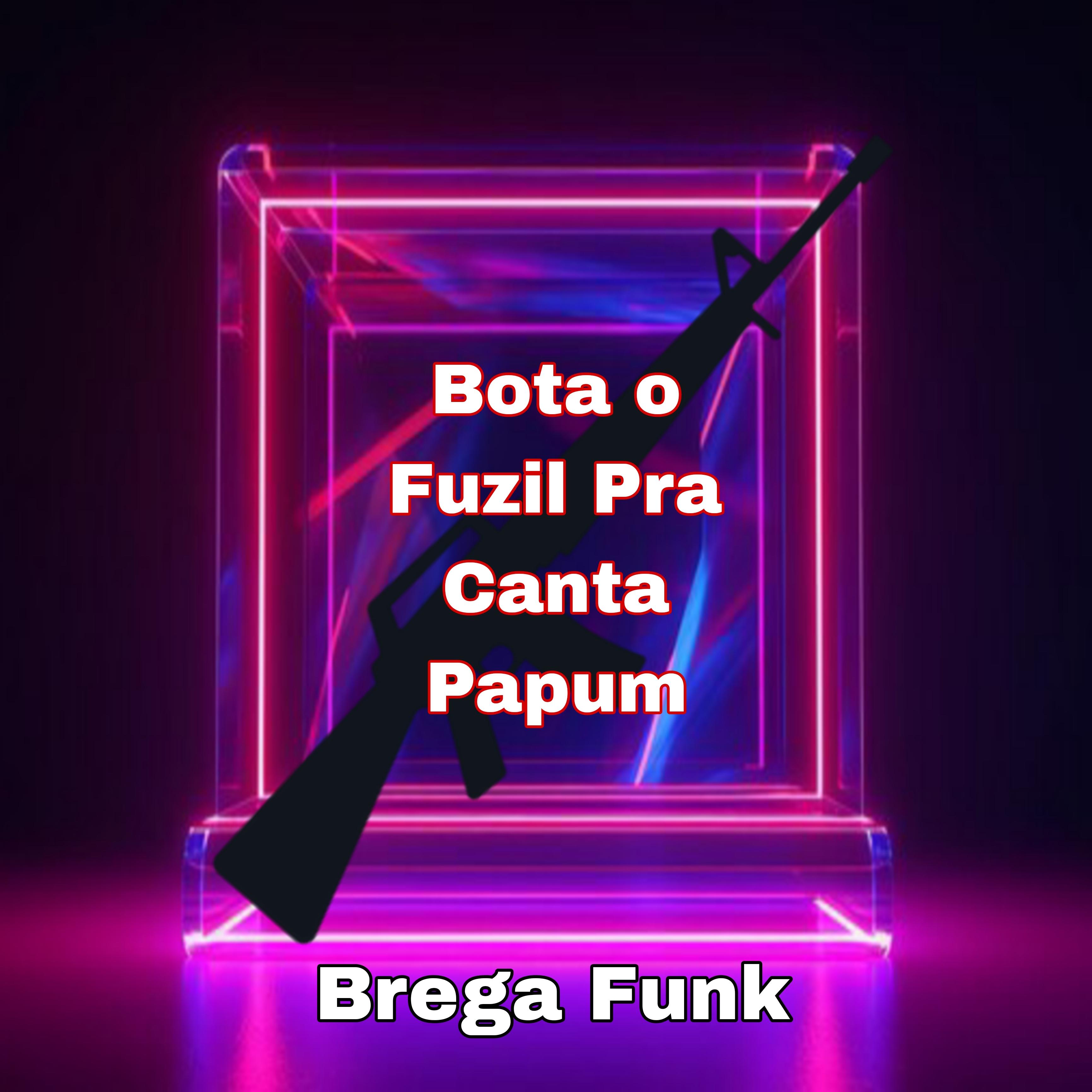 Постер альбома Bota o Fuzil pra Canta Papum