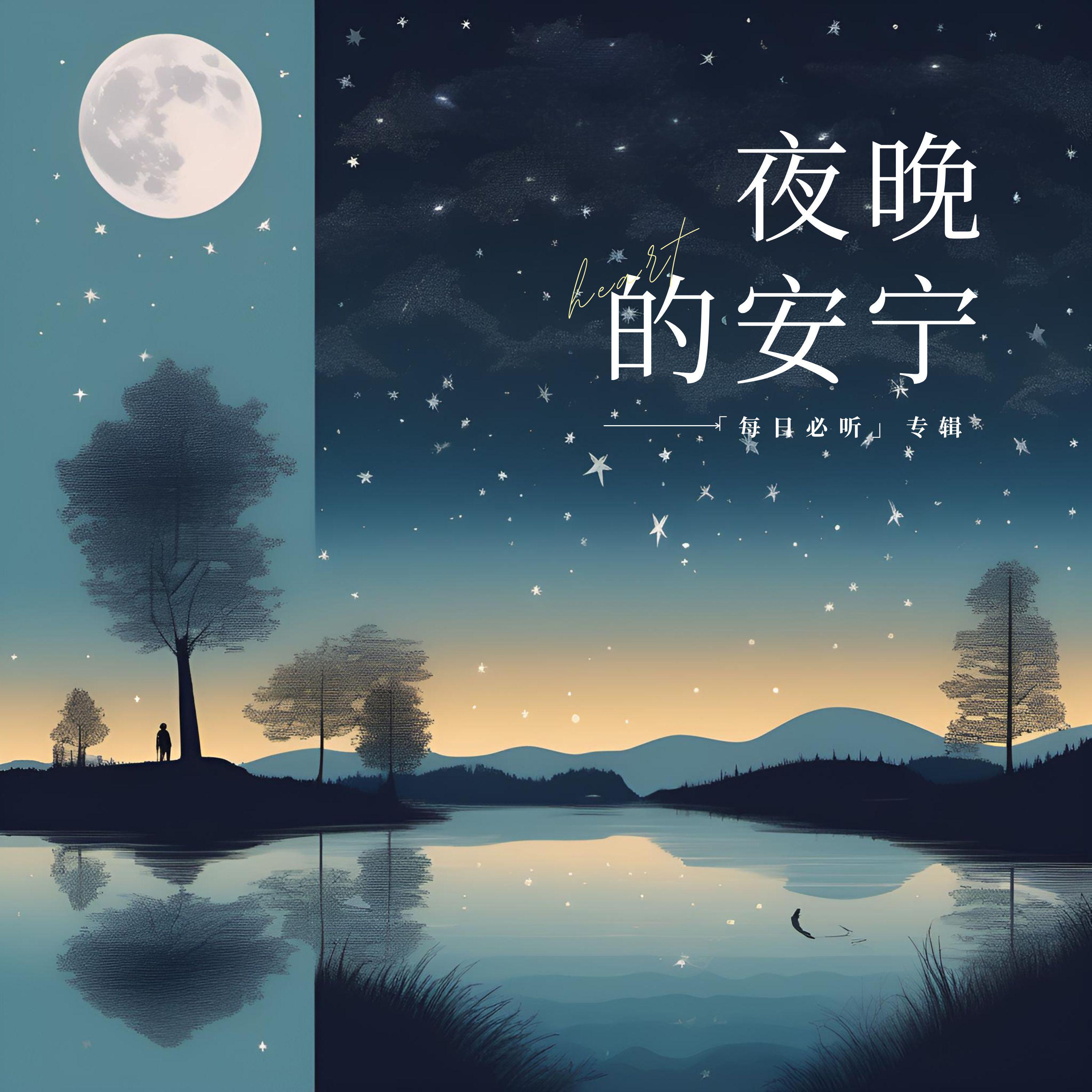 Постер альбома 夜晚的安宁