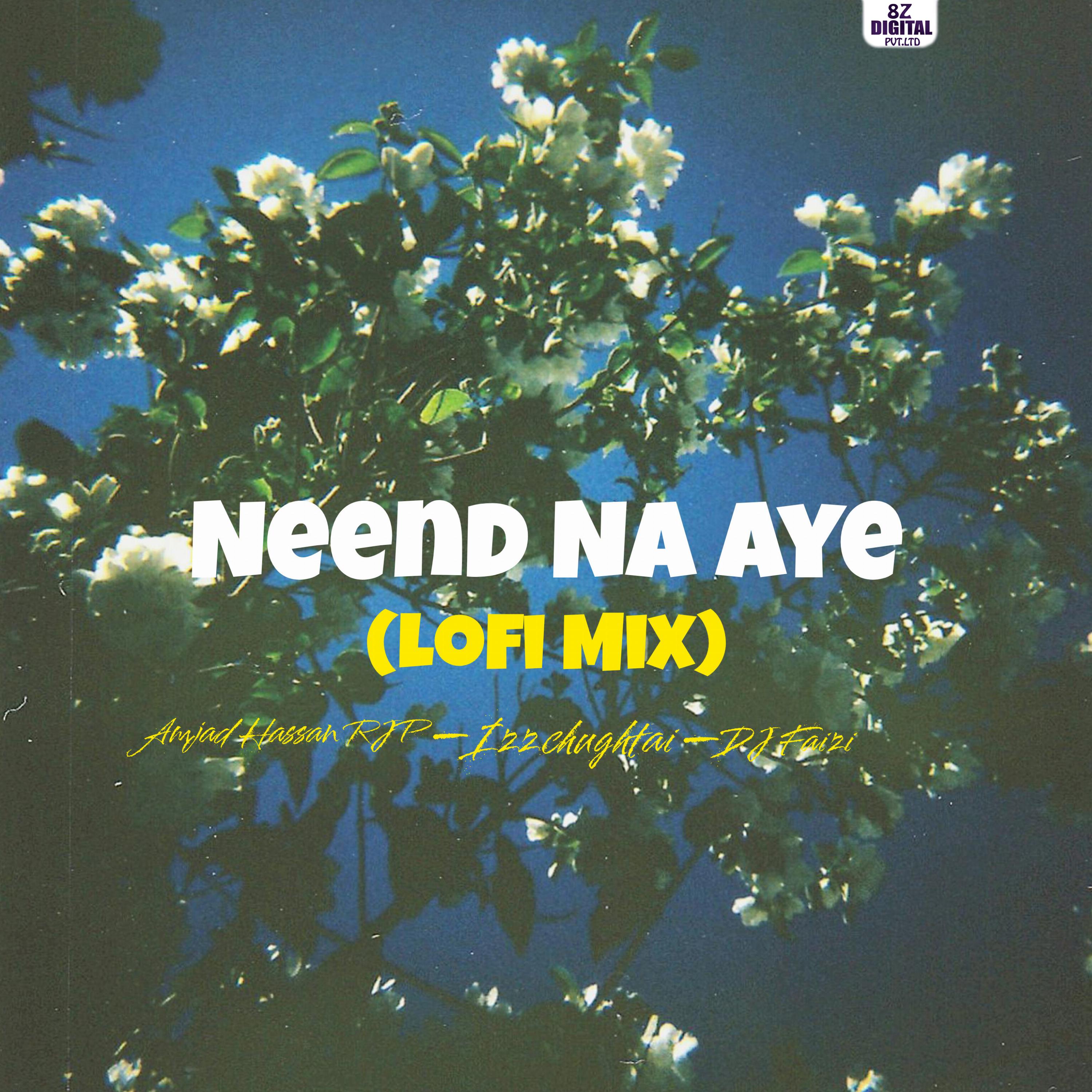 Постер альбома Neend Na Aye