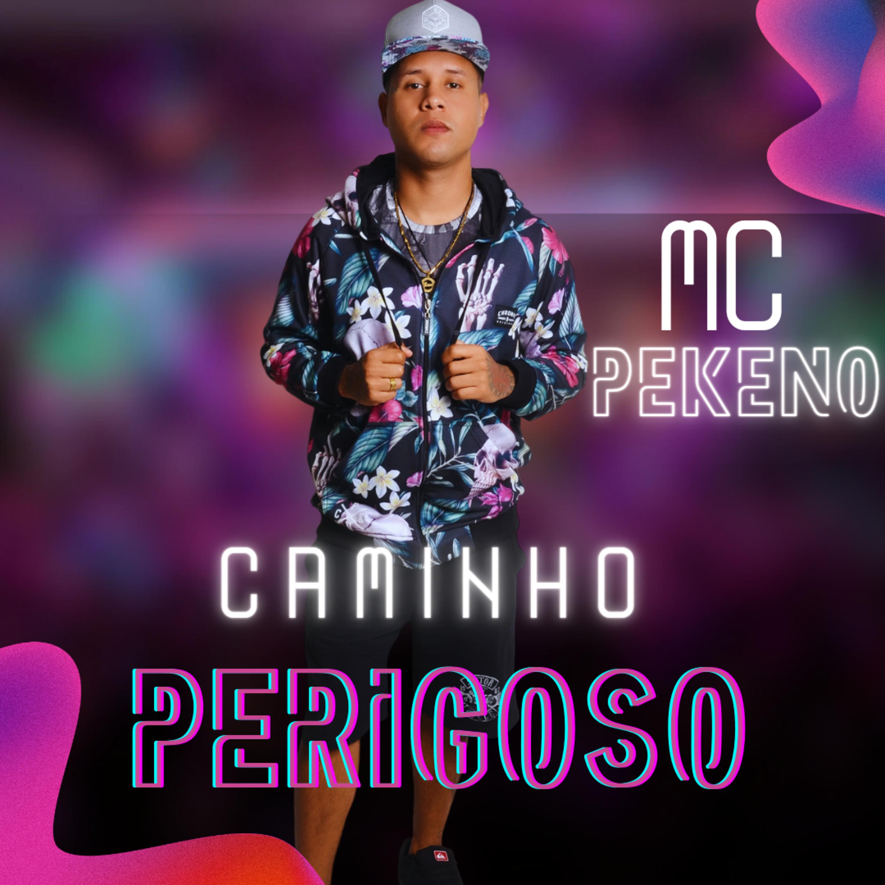 Постер альбома Caminho Perigoso