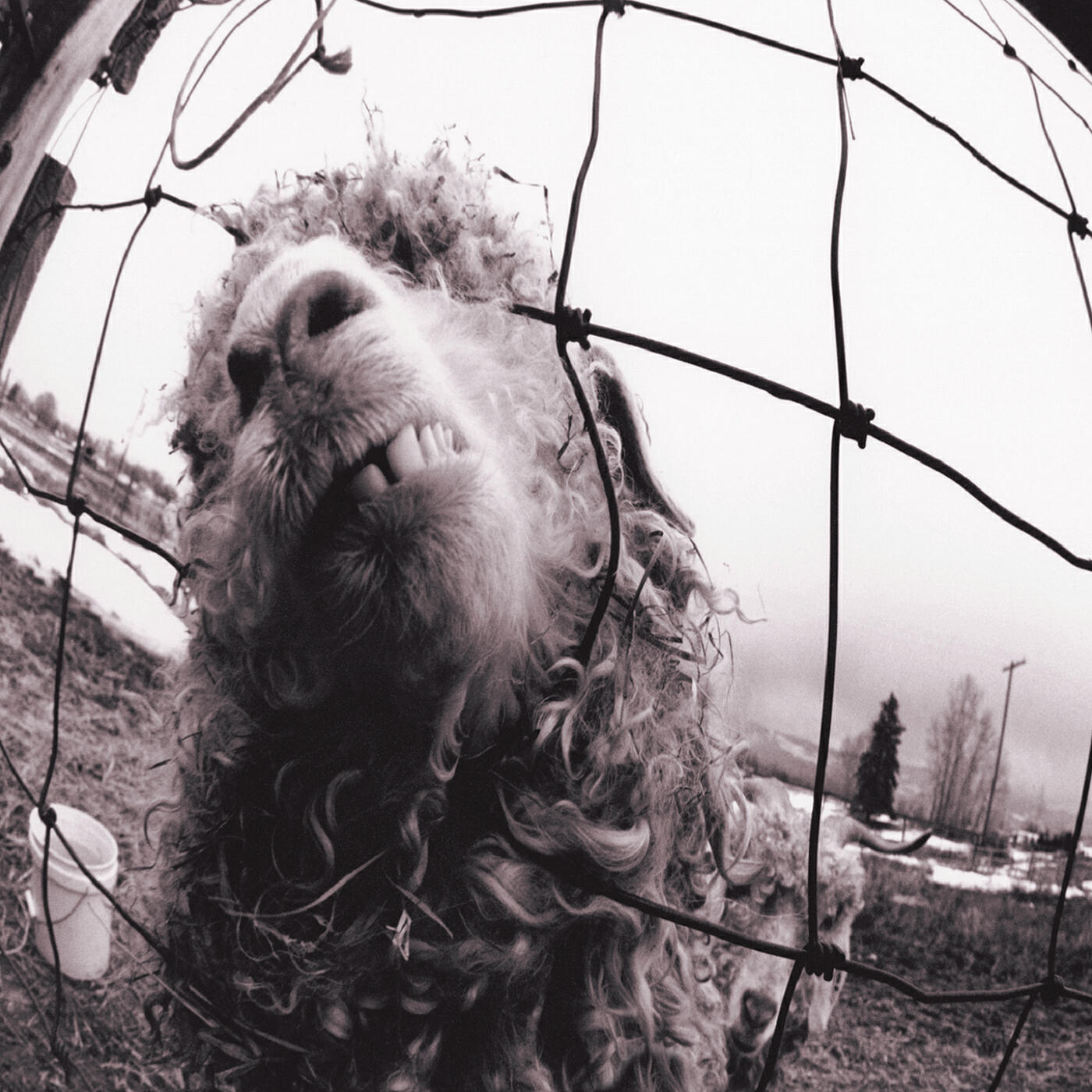 Pearl Jam - Daughter (Remastered)