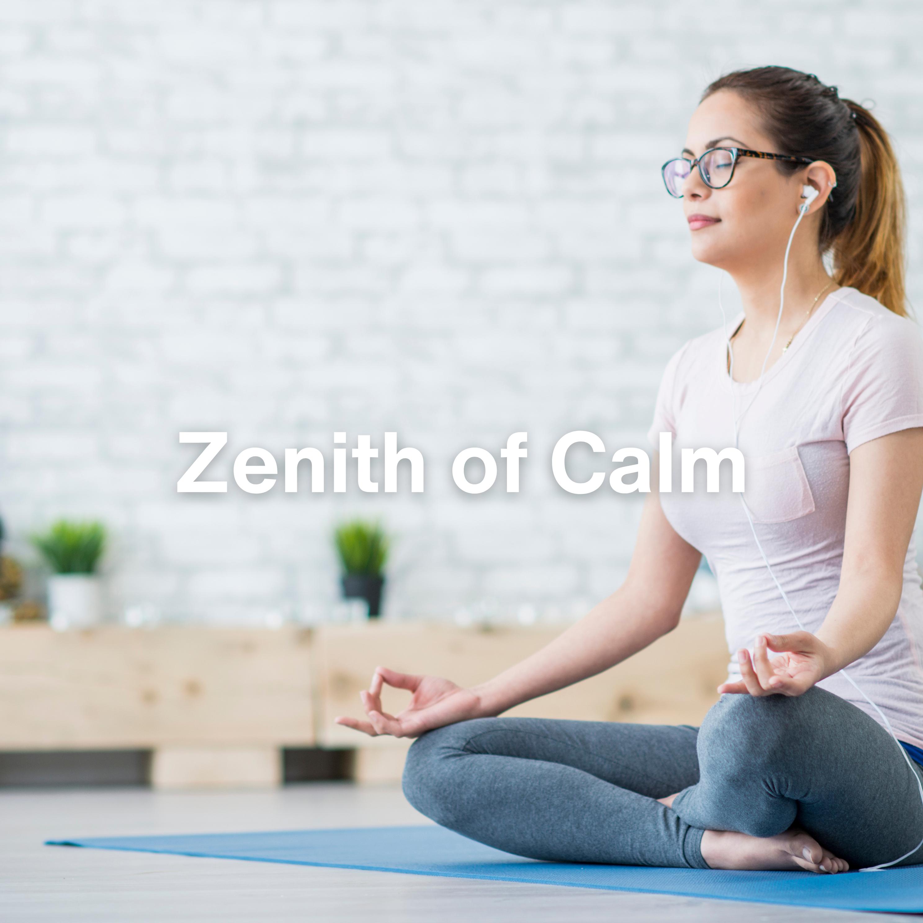 Постер альбома Zenith of Calm