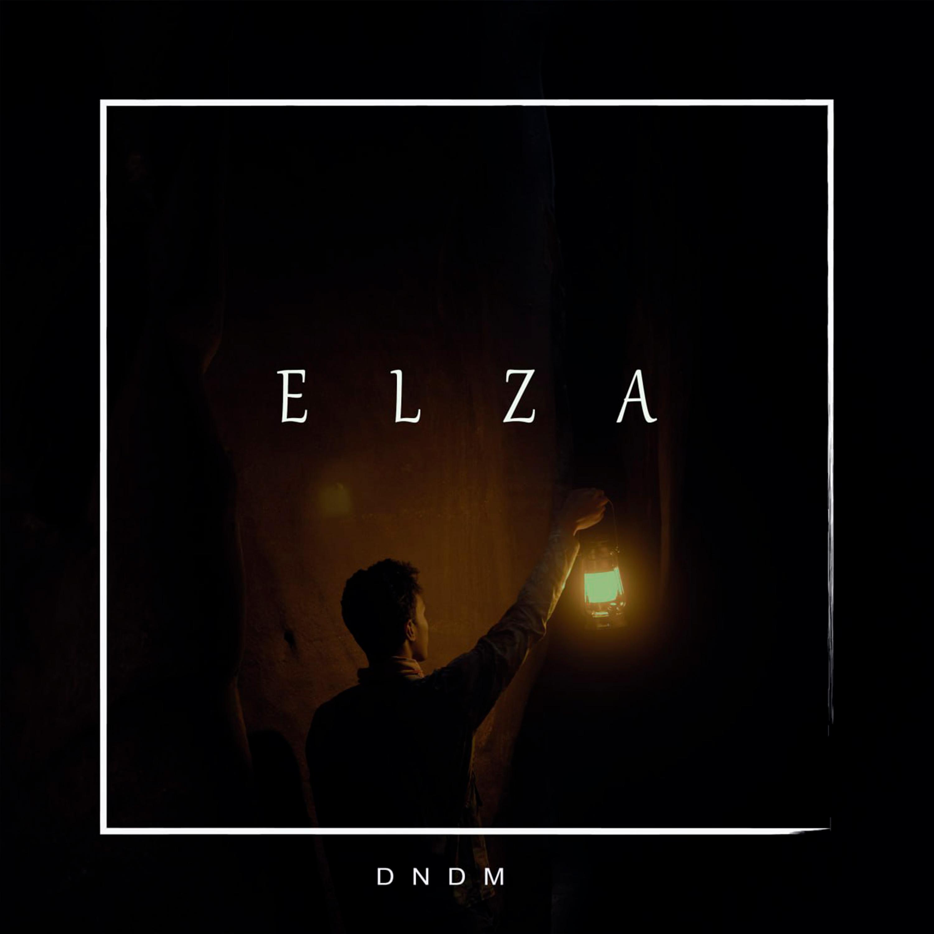 Постер альбома Elza