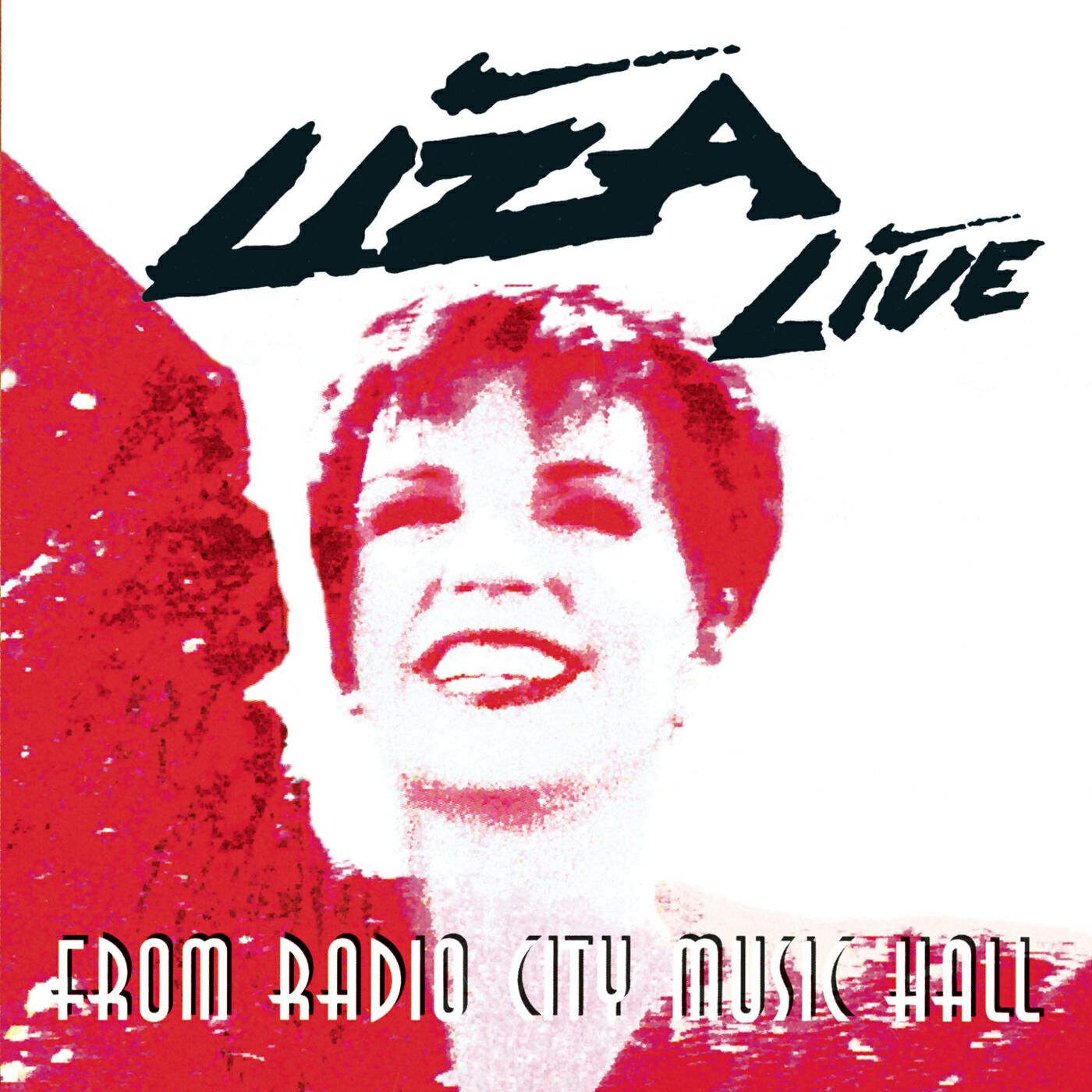 Liza Minnelli - Theme From New York, New York (Live)