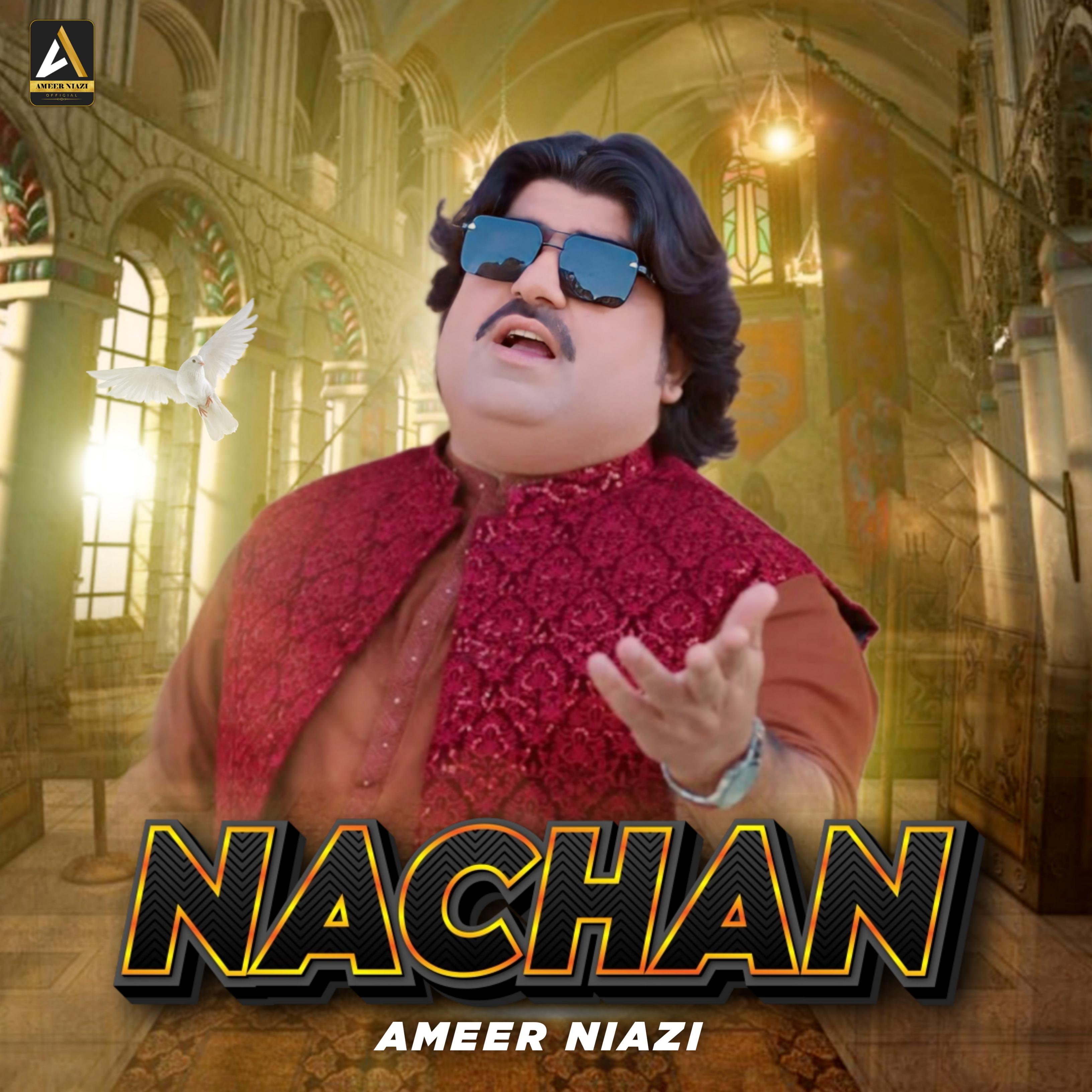 Постер альбома Nachaan