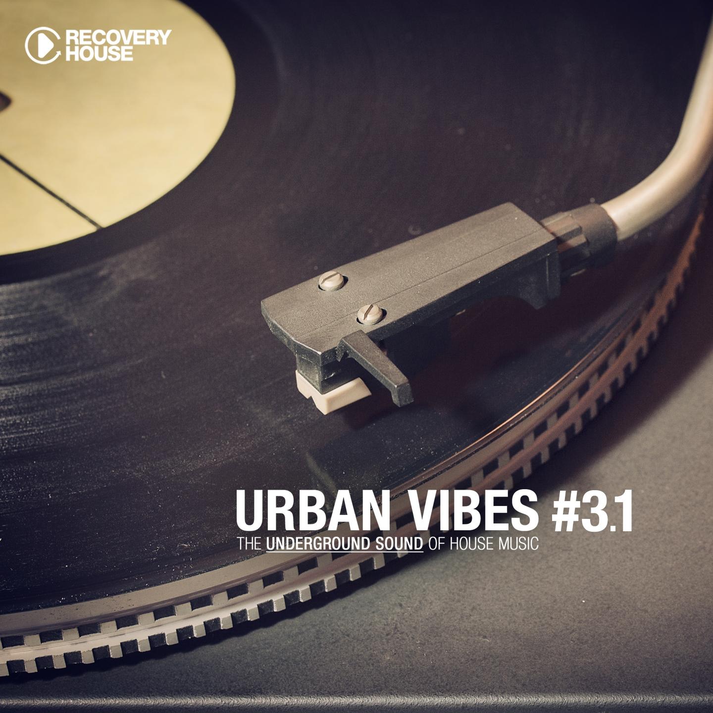 Постер альбома Urban Vibes - The Underground Sound Of House Music 3.1