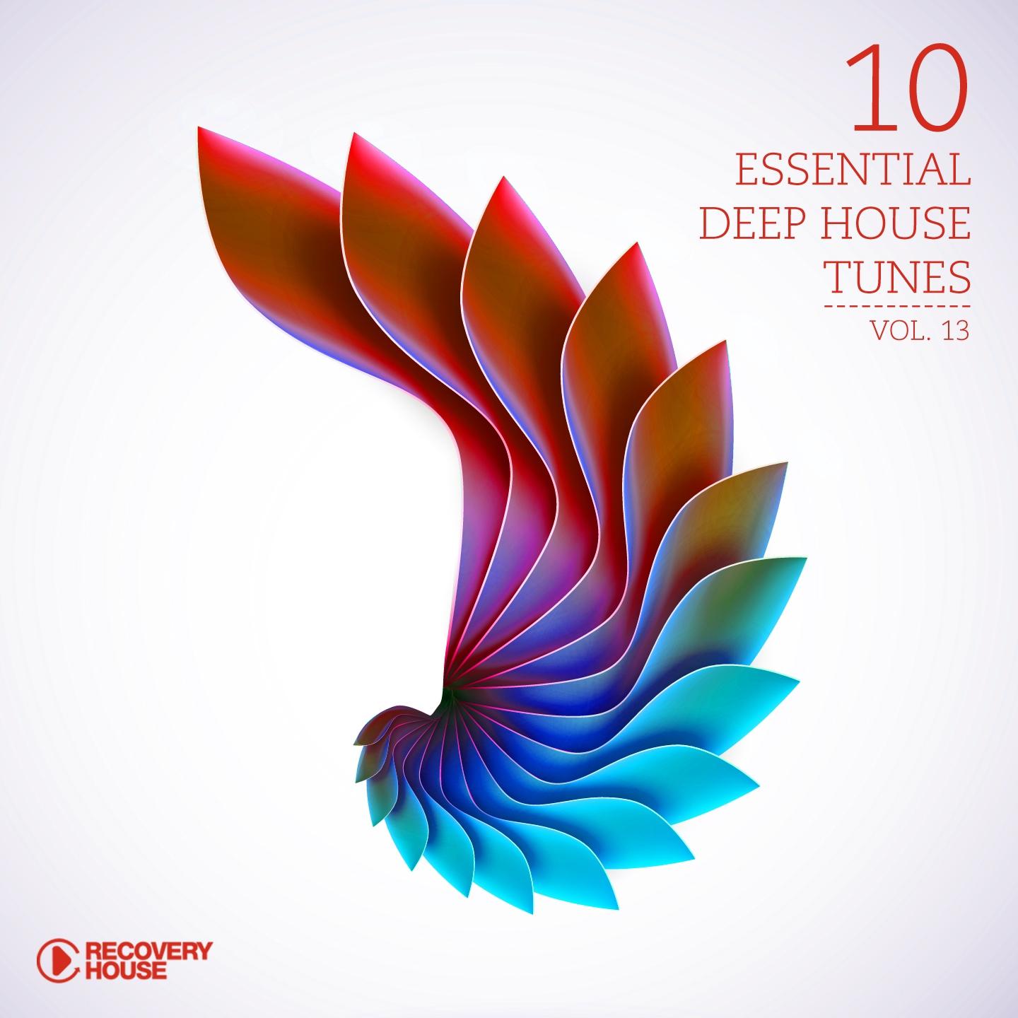 Постер альбома 10 Essential Deep House Tunes-, Vol. 13