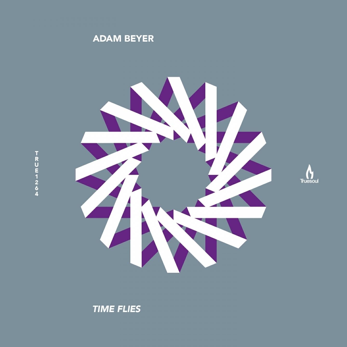 Adam Beyer - Time Flies (Tiger Stripes Remix)