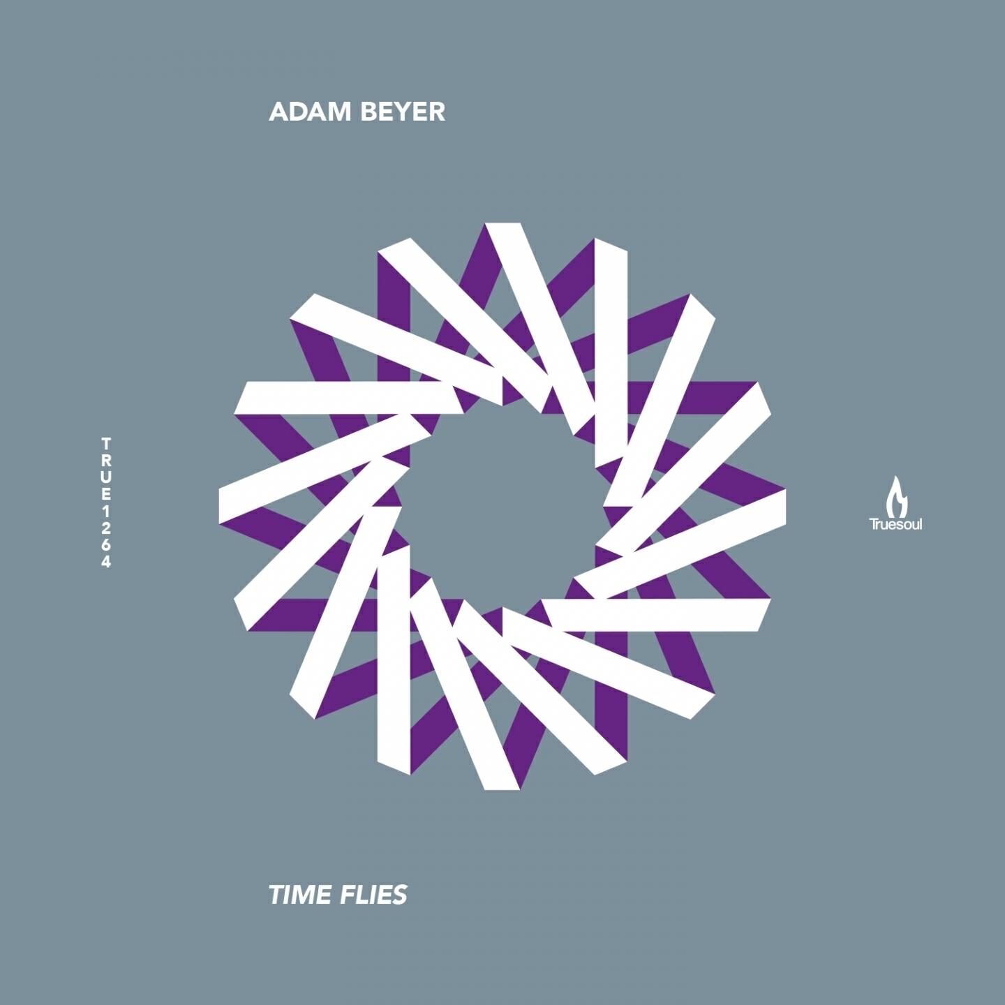 Adam Beyer - Time Flies