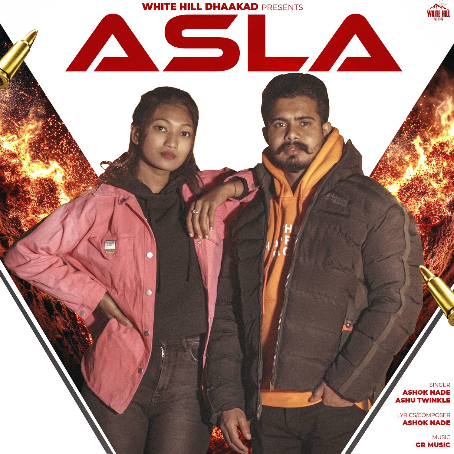 Постер альбома Asla