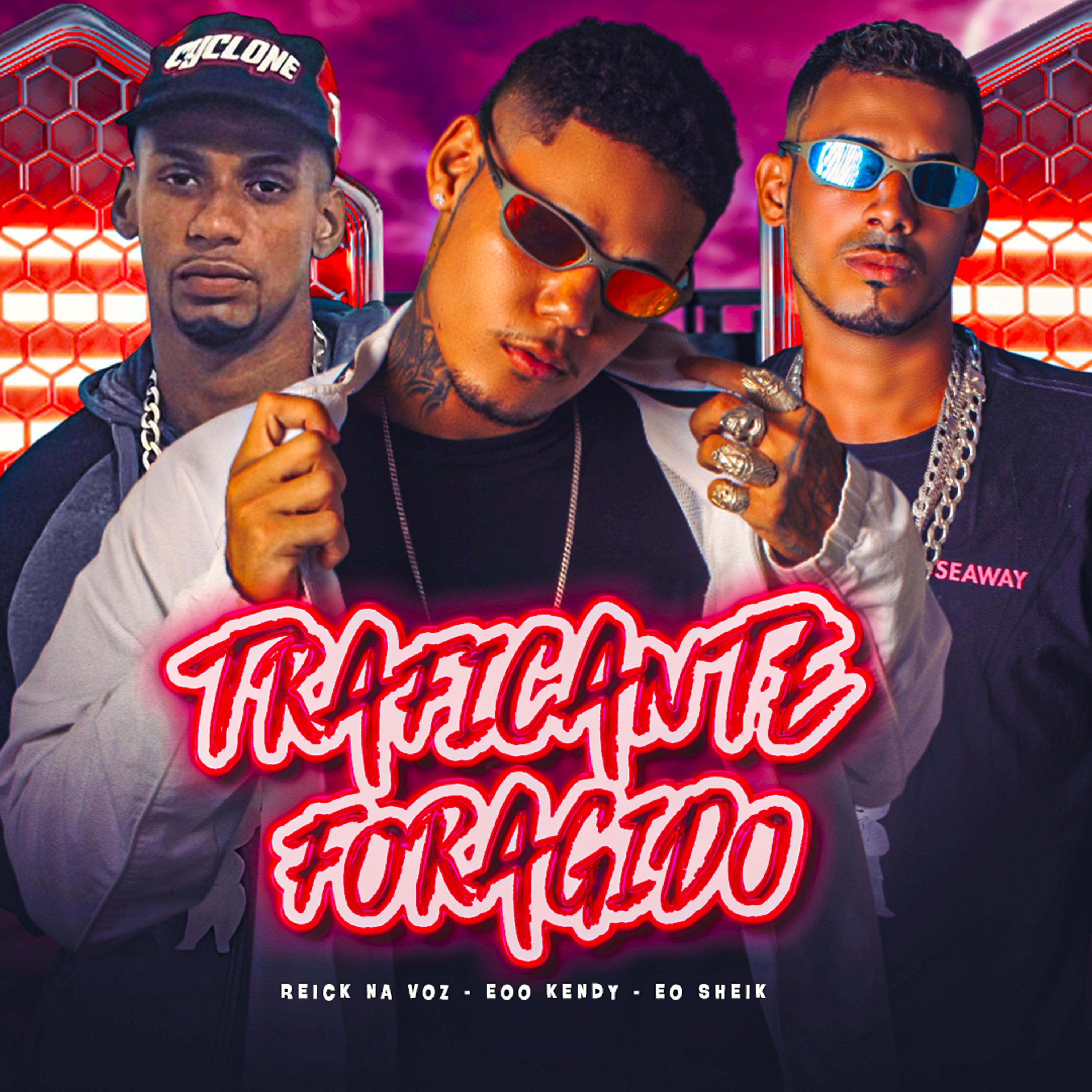Постер альбома Traficante Foragido