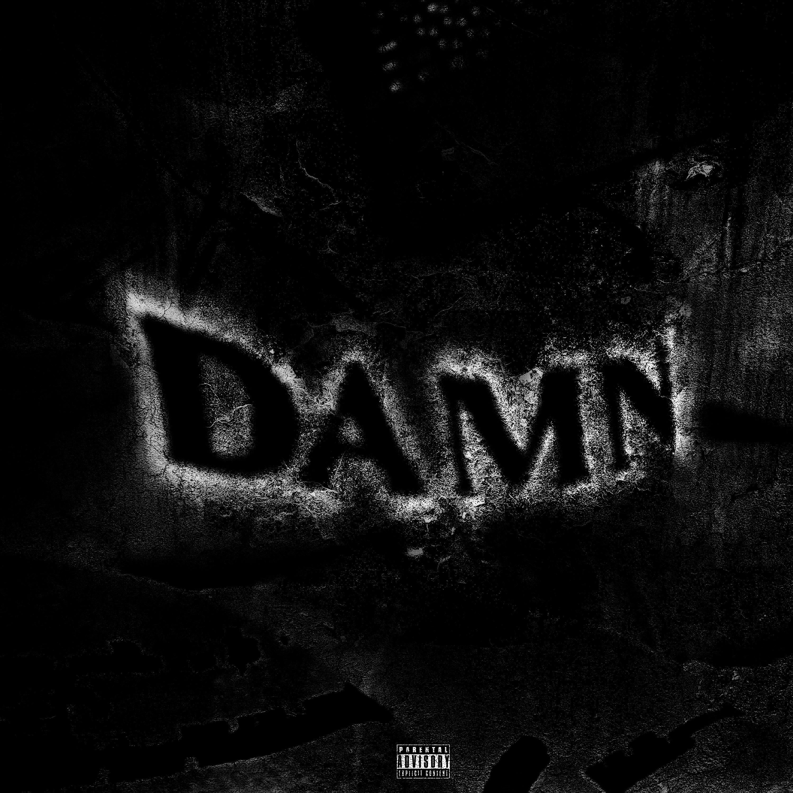 Постер альбома D.A.M.N.