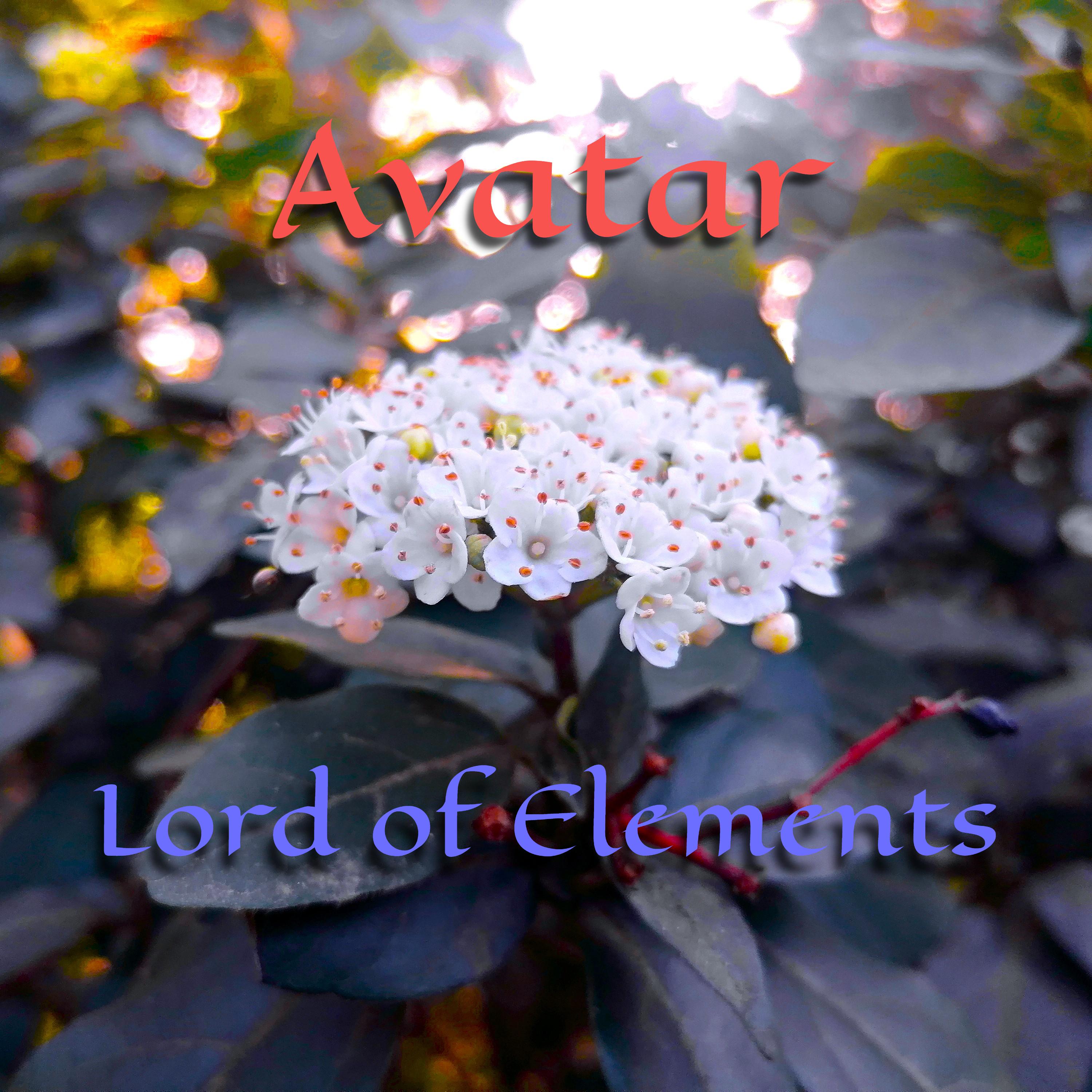 Постер альбома Avatar Lord of Elements