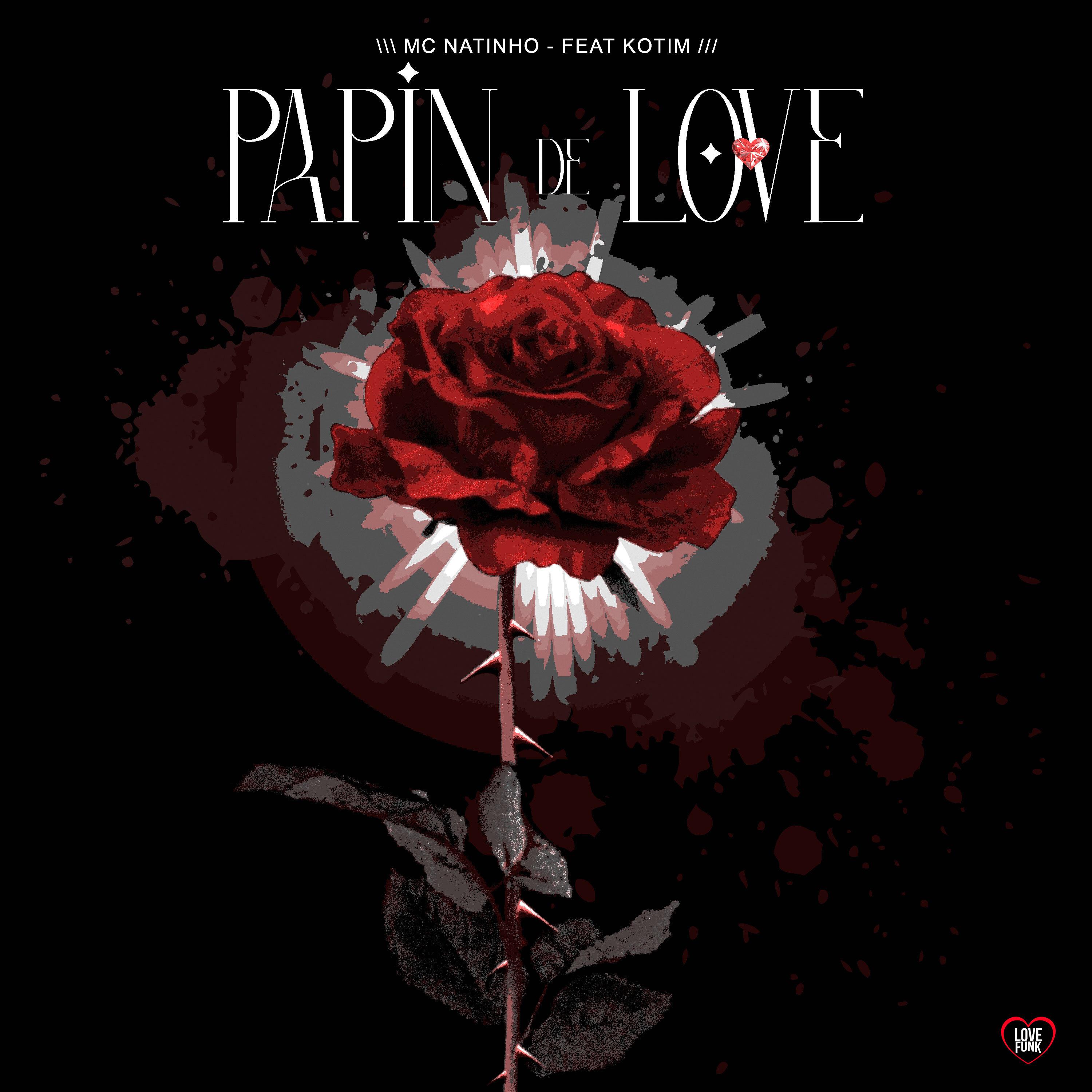 Постер альбома Papin de Love