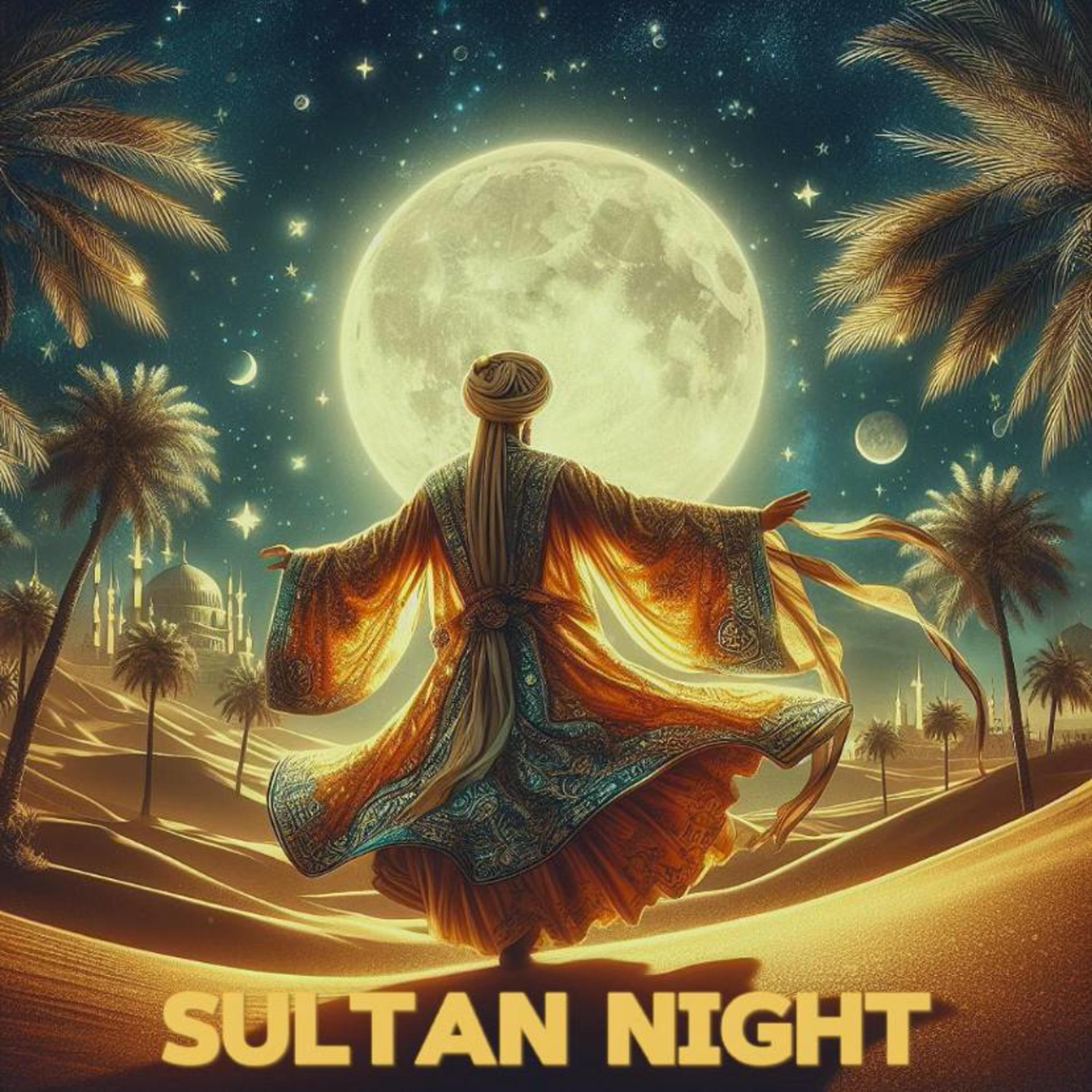 Постер альбома Sultan Night