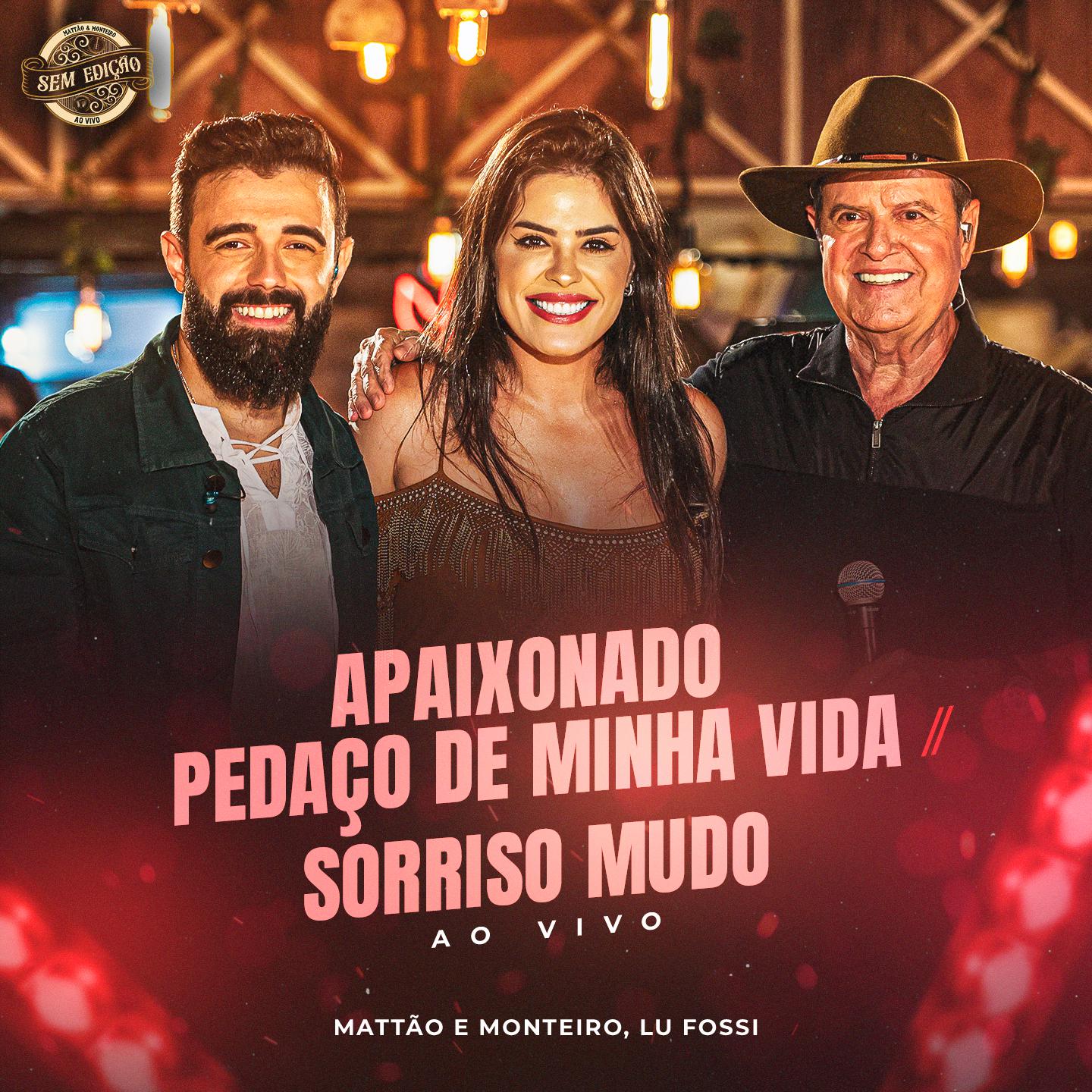 Постер альбома Apaixonado / Pedaço de Minha Vida / Sorriso Mudo
