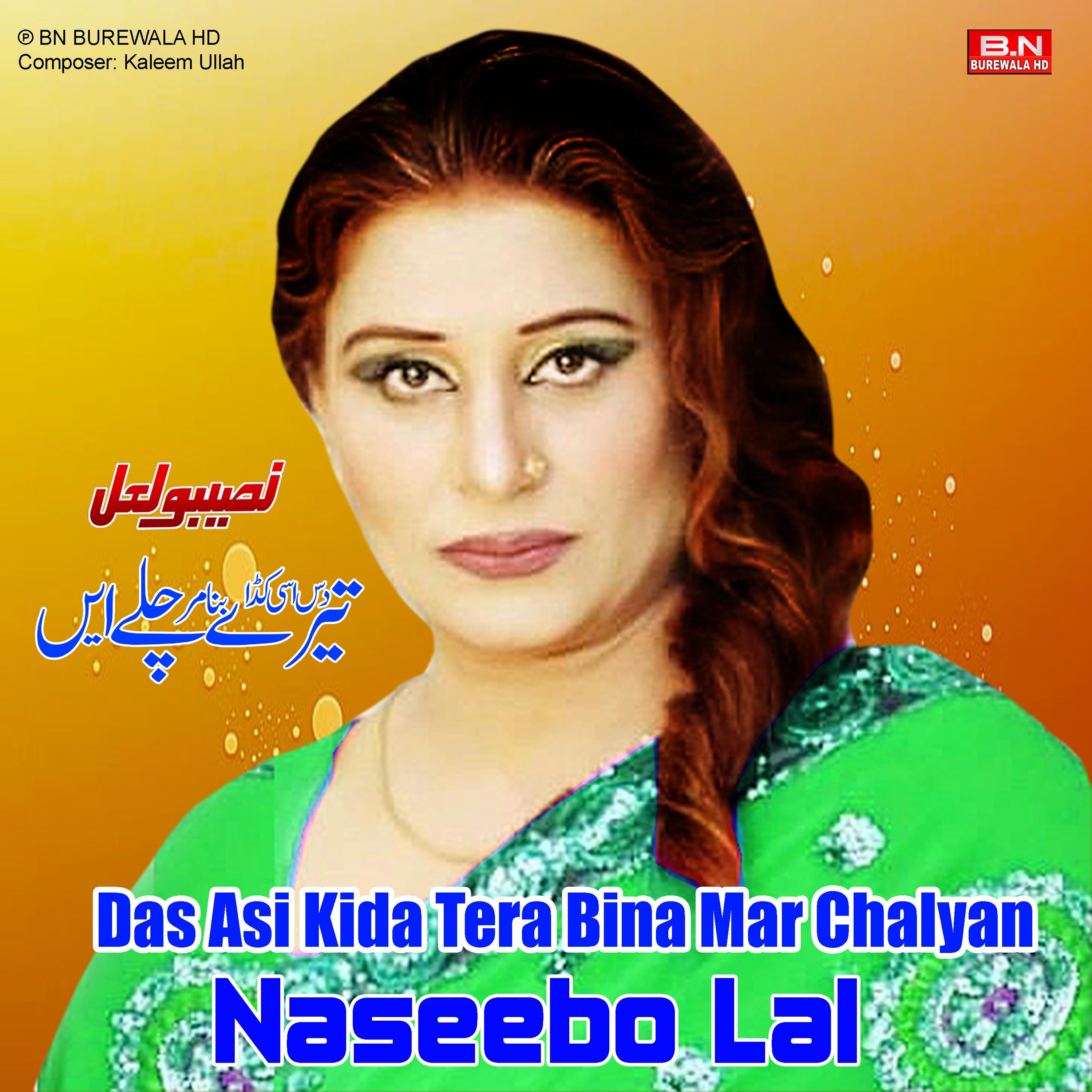 Постер альбома Das Asi Kida Tera Bina Mar Chalyan