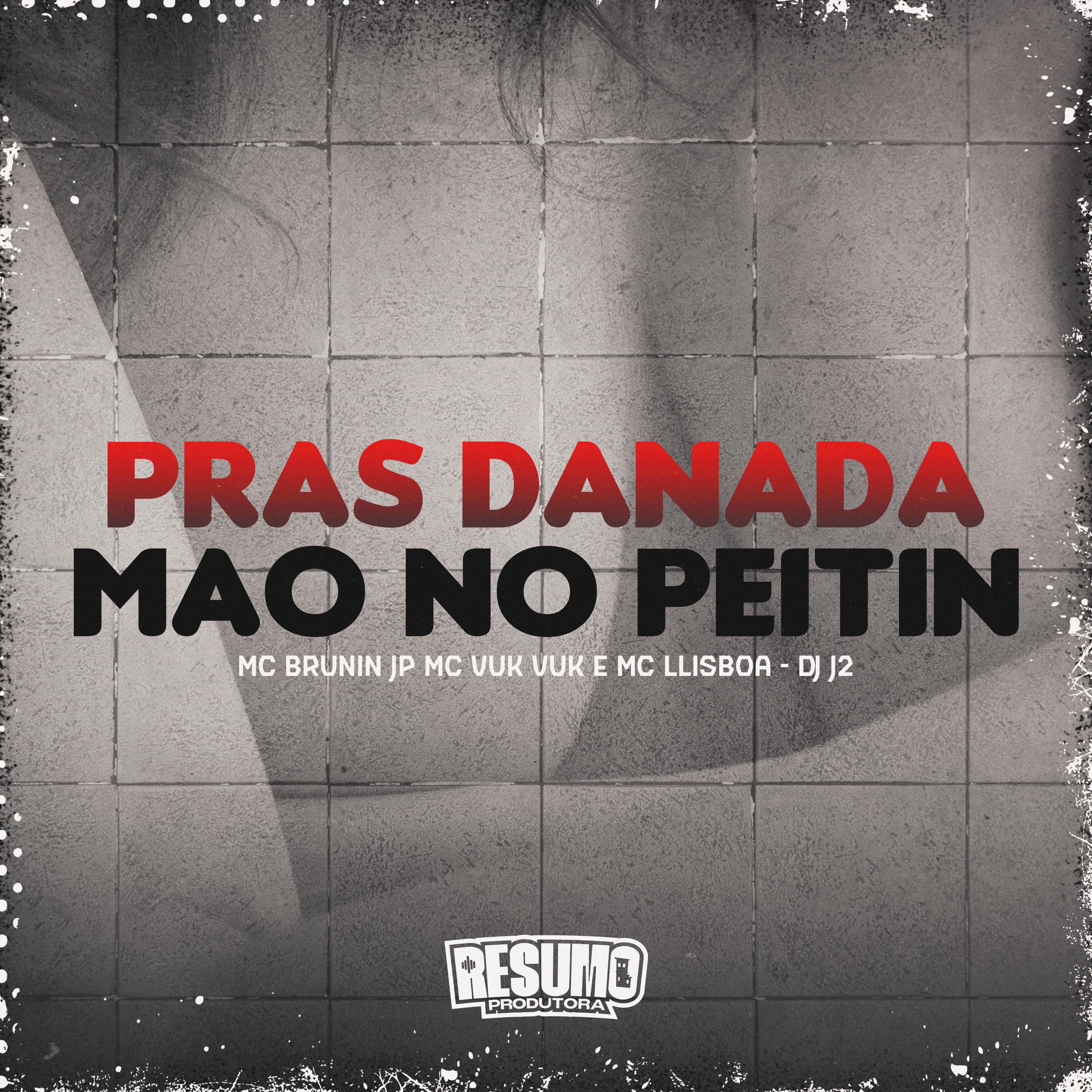 Постер альбома Pras Danada Mão no Peitin