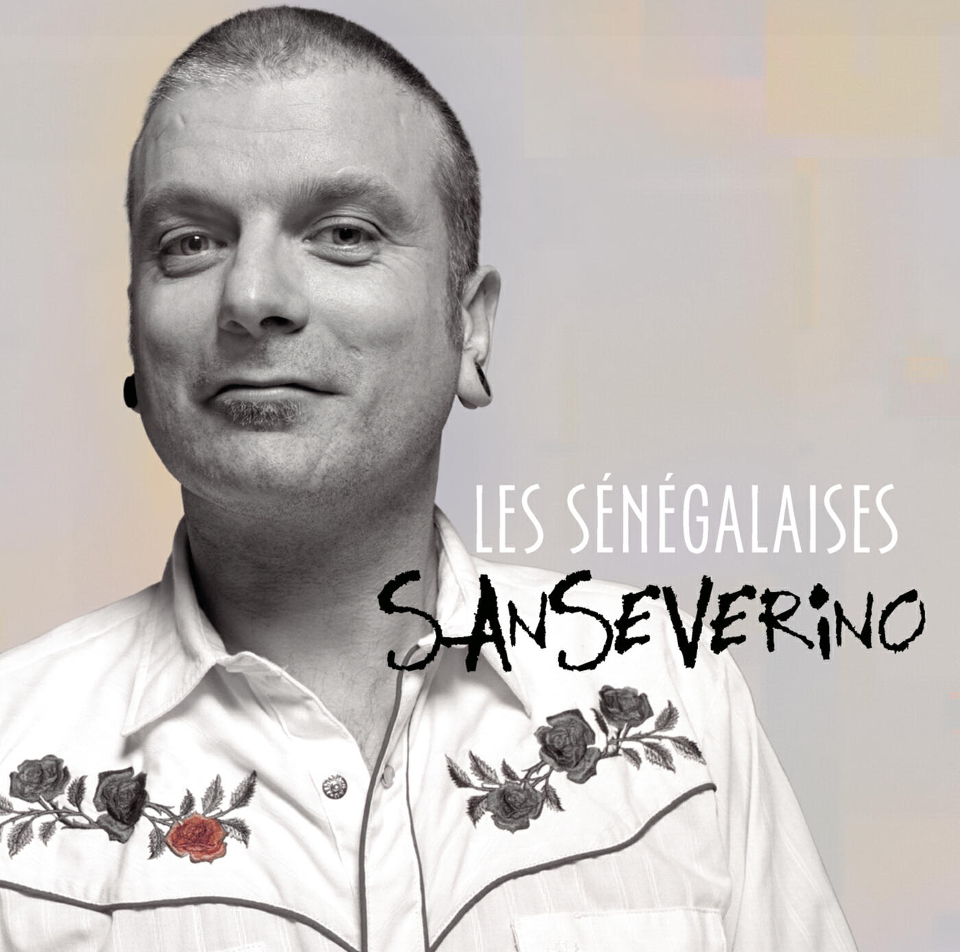 Sanseverino - Loulou ne vaut pas un clou (Album Version)