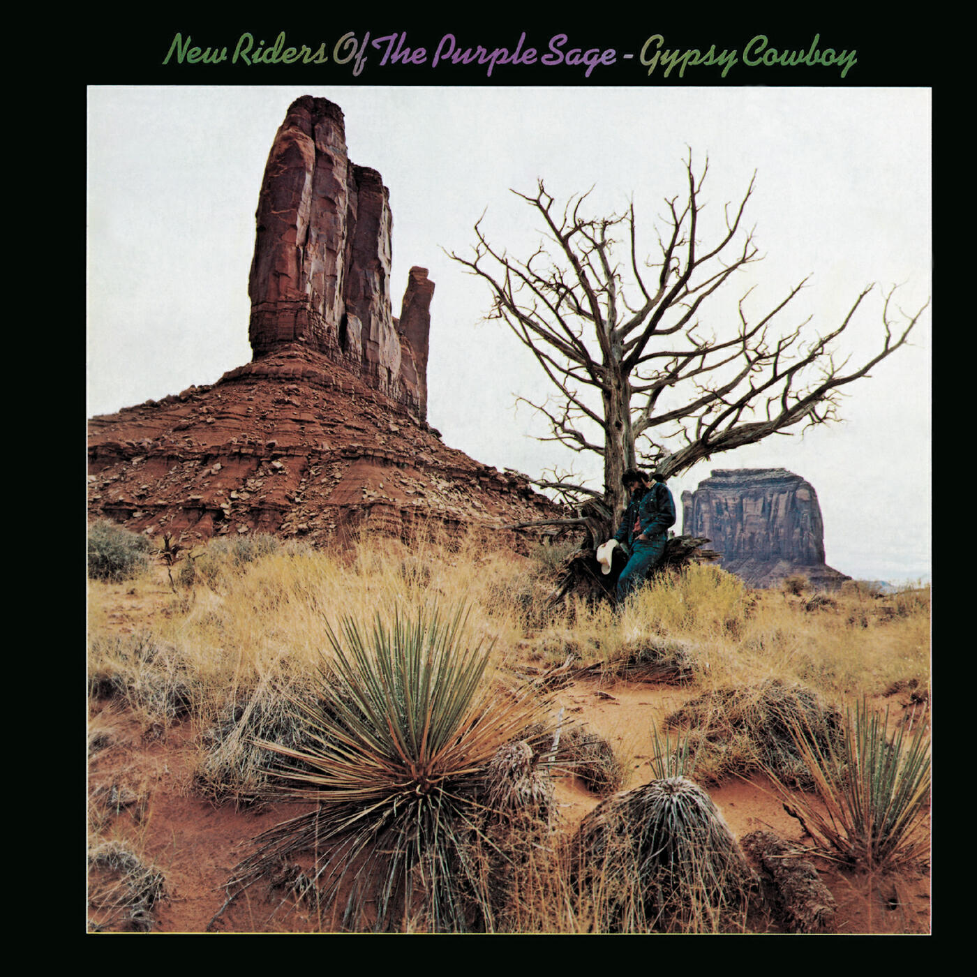 New Riders Of The Purple Sage - Death and Destruction