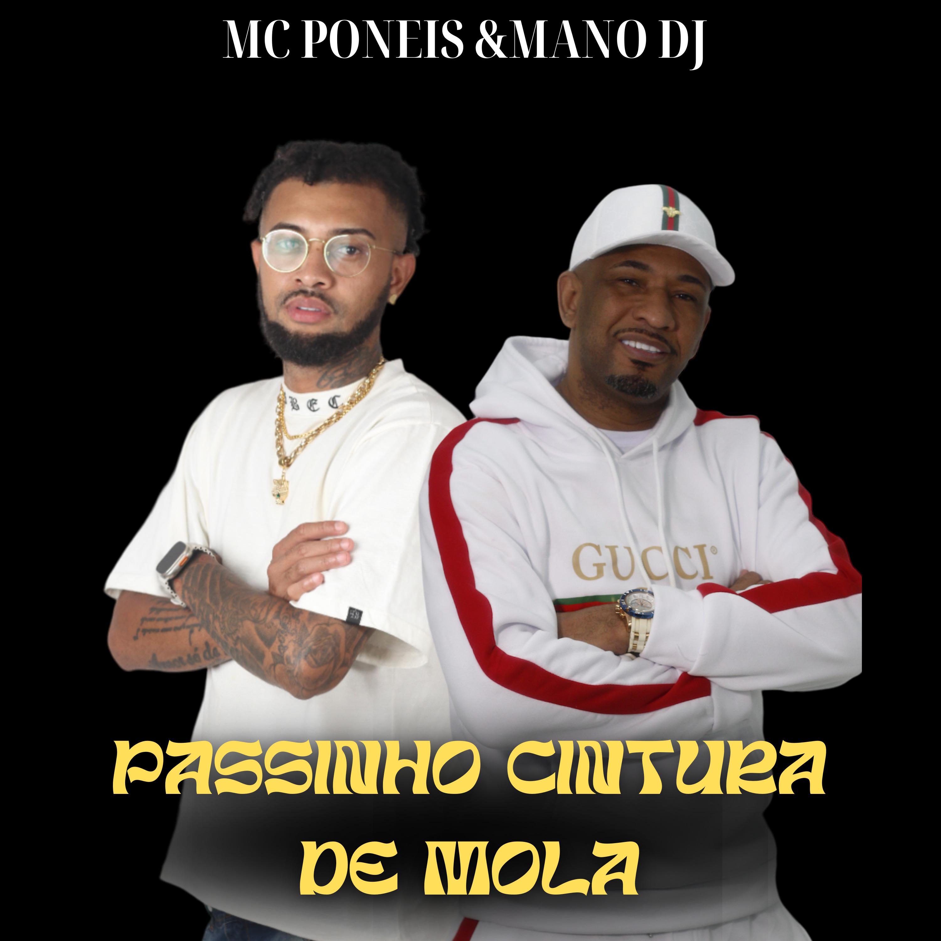 Постер альбома Passinho Cintura de Mola