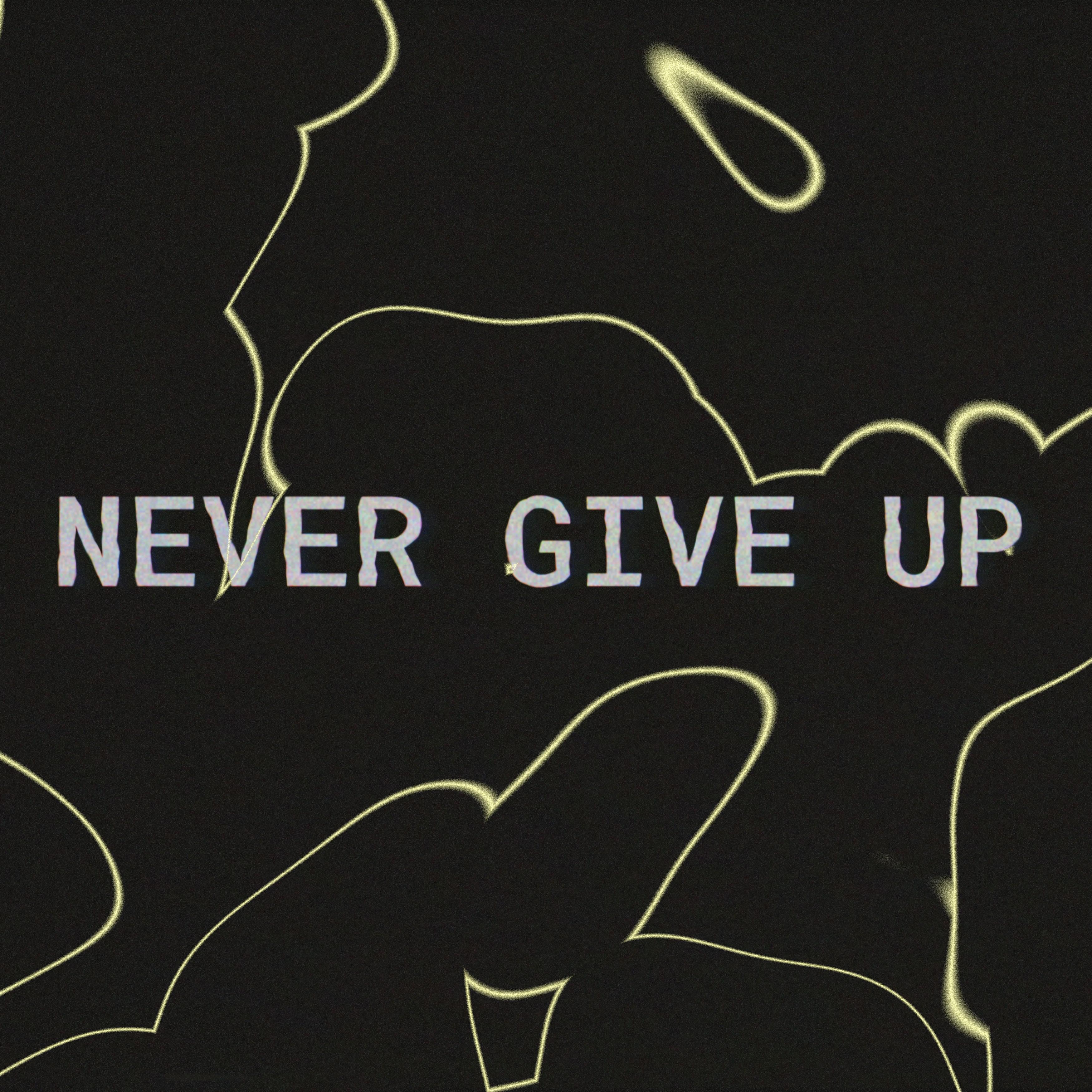 Постер альбома Never give up